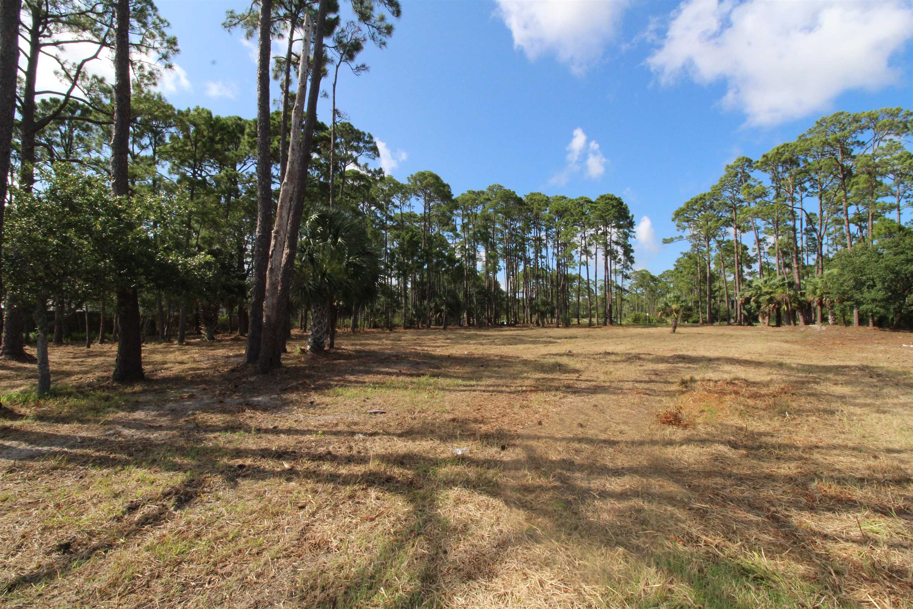 2620 Surf Road, Panacea, Florida image 15