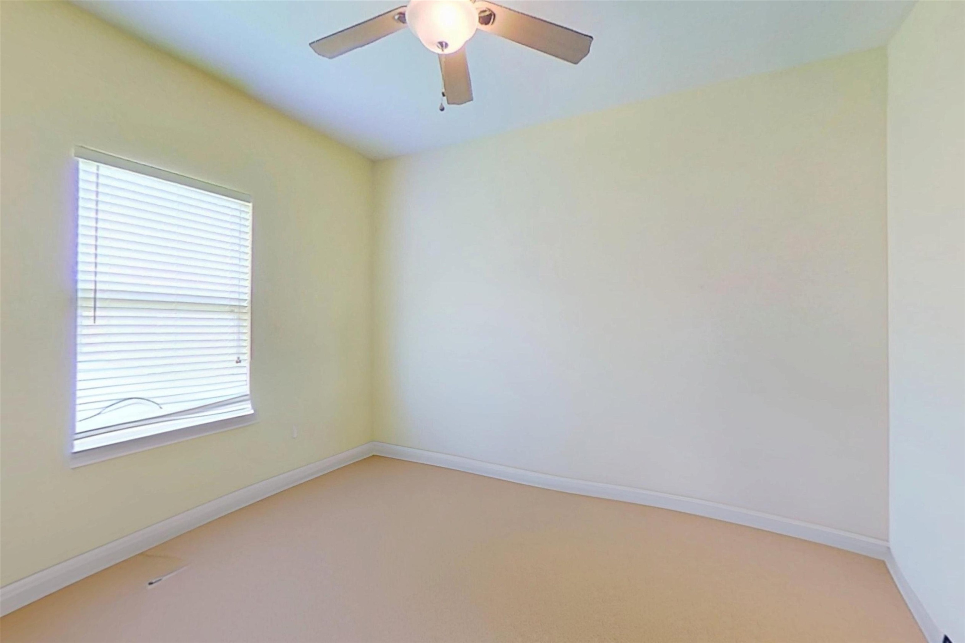 2426 Ludmila Lane, Tallahassee, Texas image 12