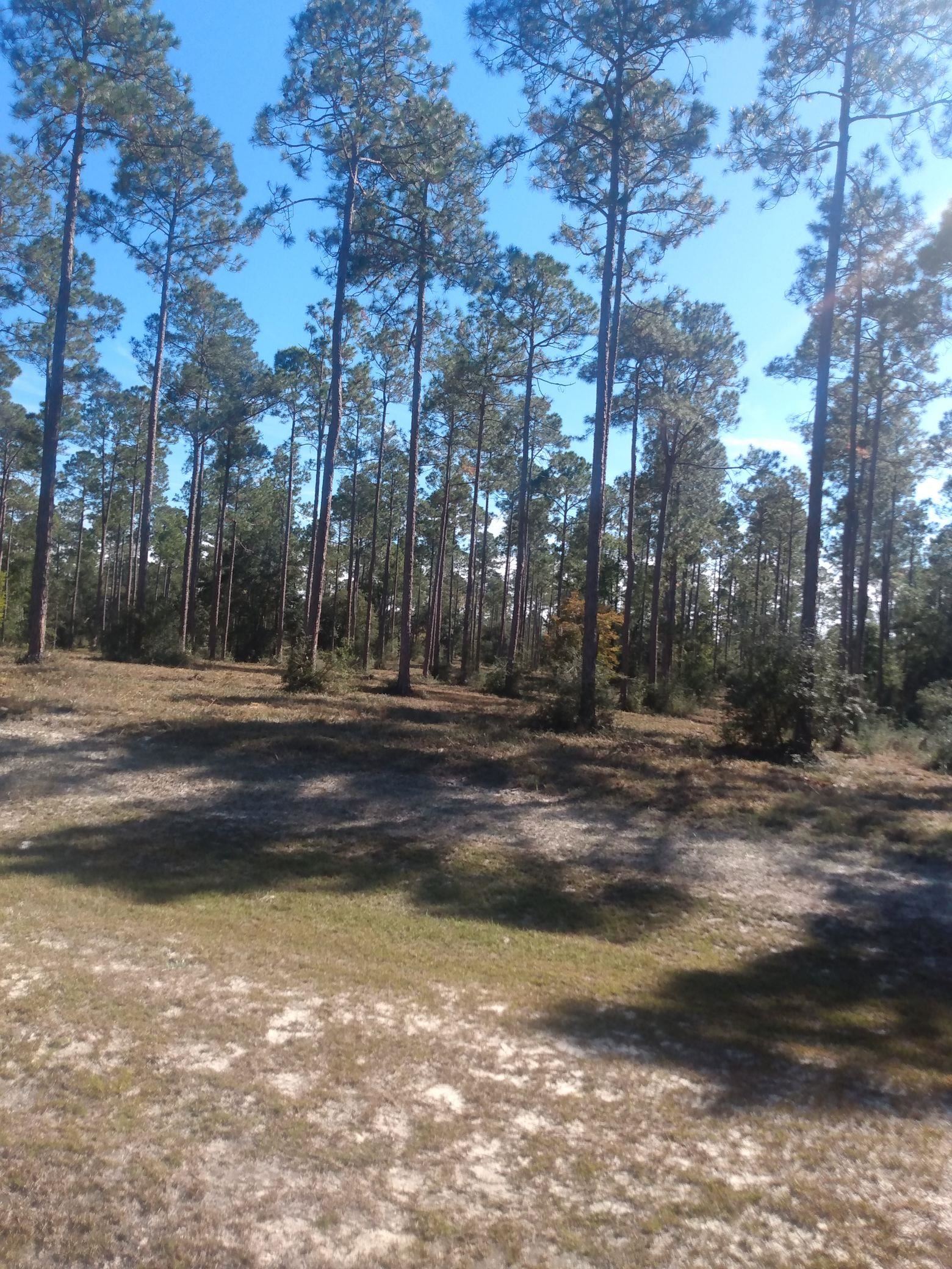 Lot I 20 Hidden Horse Way, Tallahassee, Florida image 12