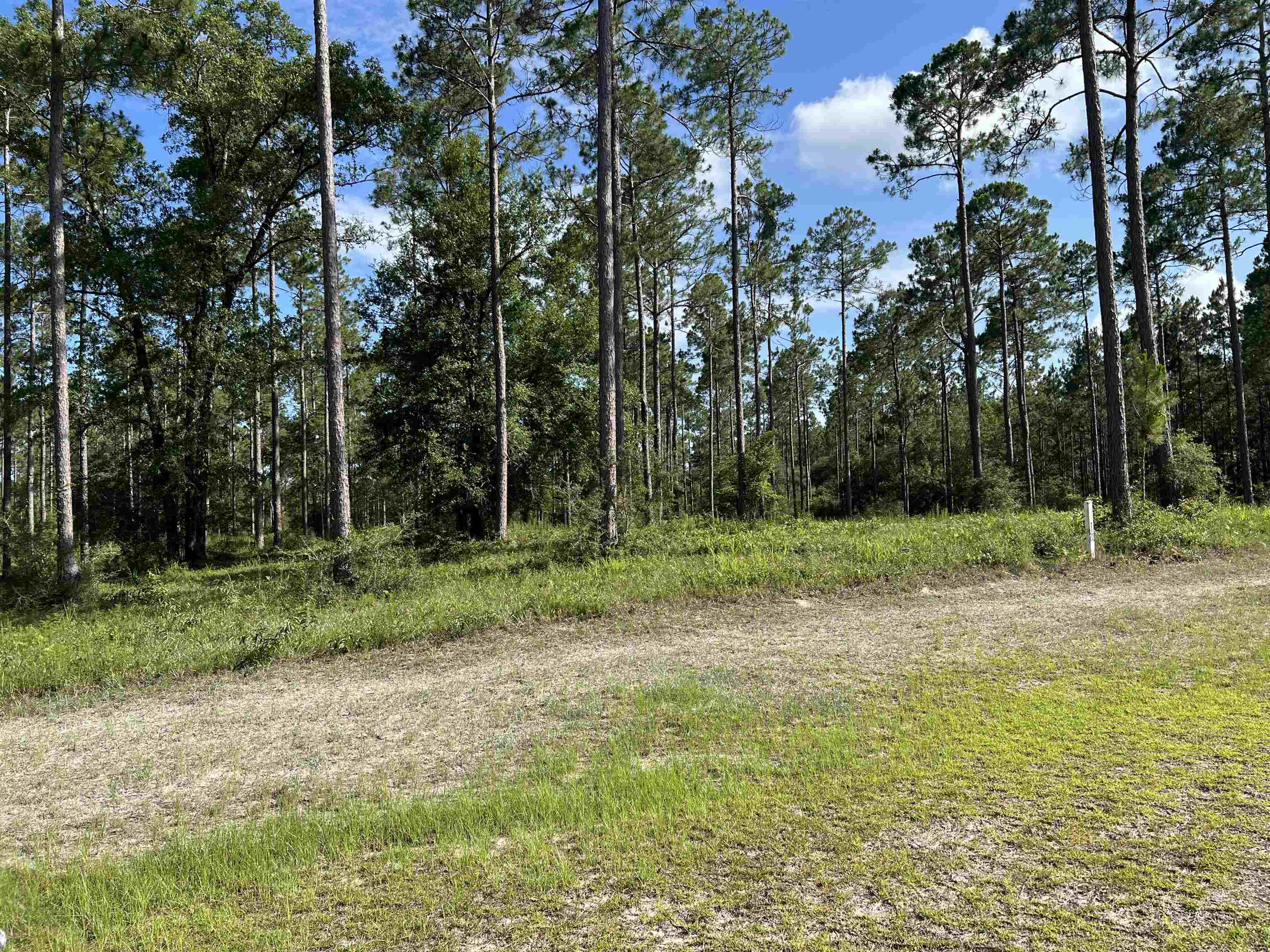 Lot I 20 Hidden Horse Way, Tallahassee, Florida image 17