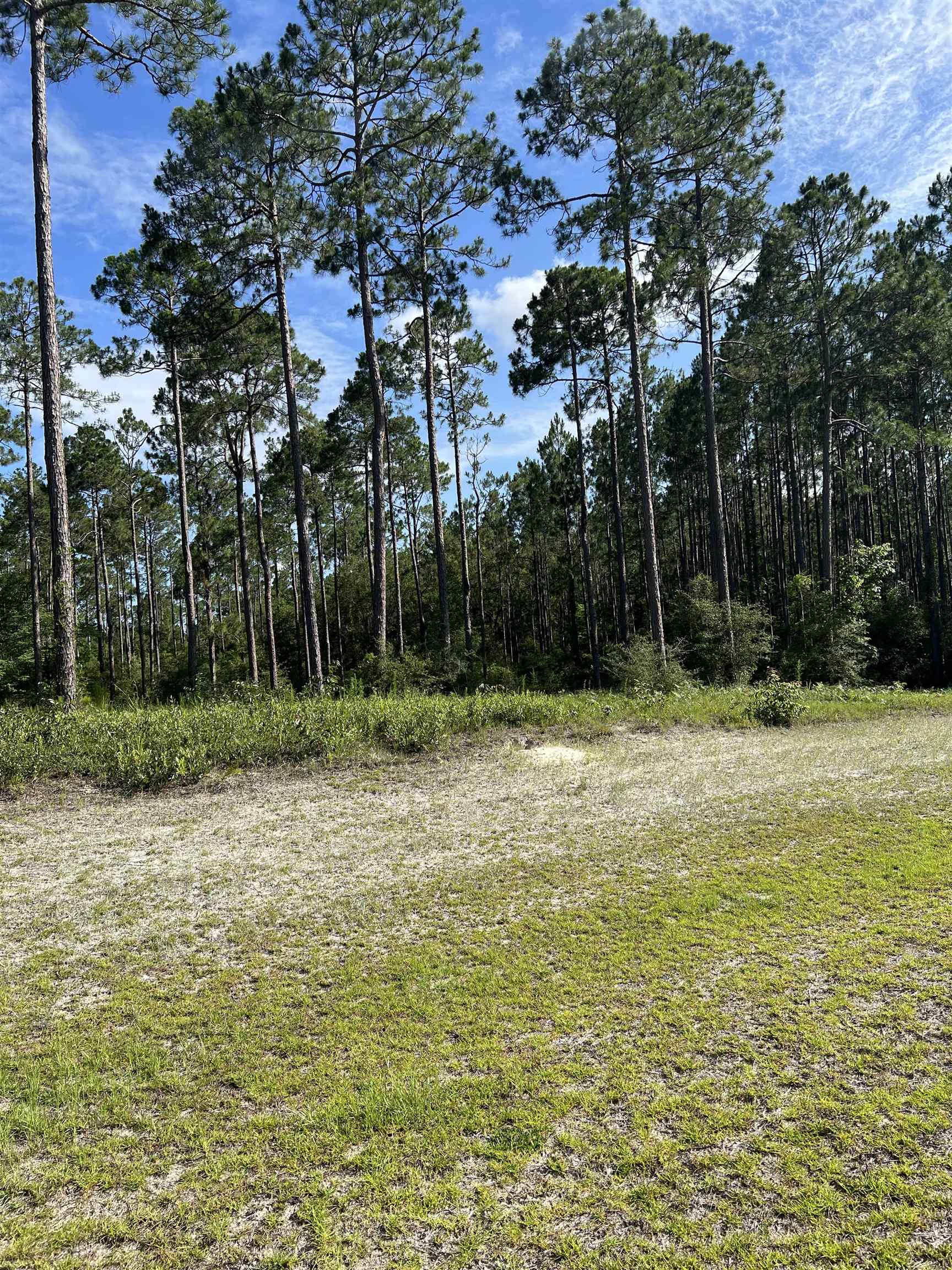 Lot I 20 Hidden Horse Way, Tallahassee, Florida image 21