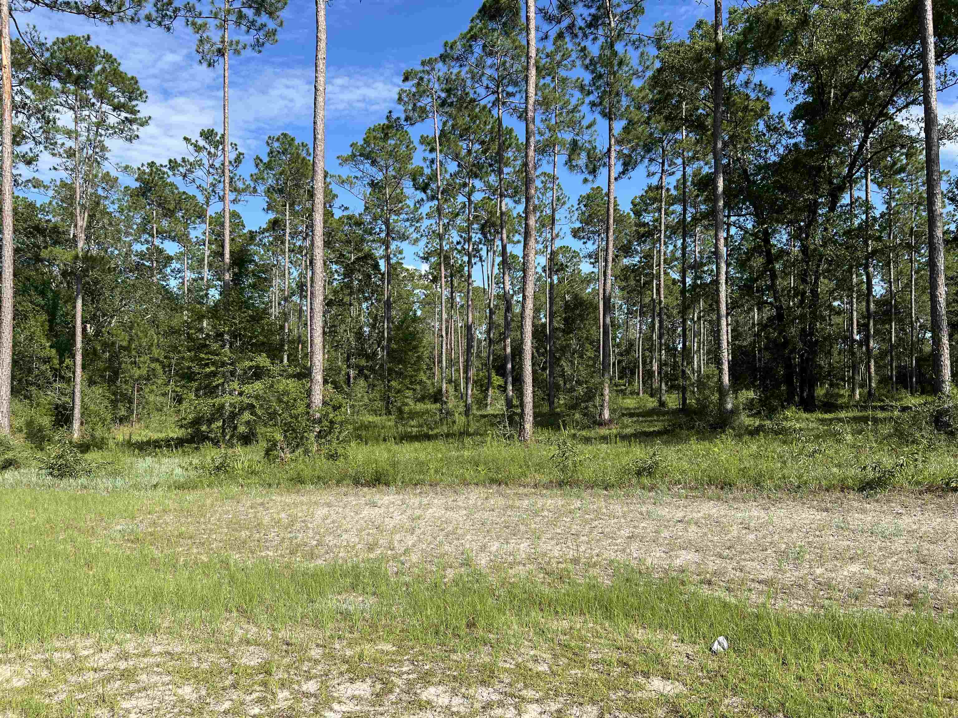 Lot I 20 Hidden Horse Way, Tallahassee, Florida image 22