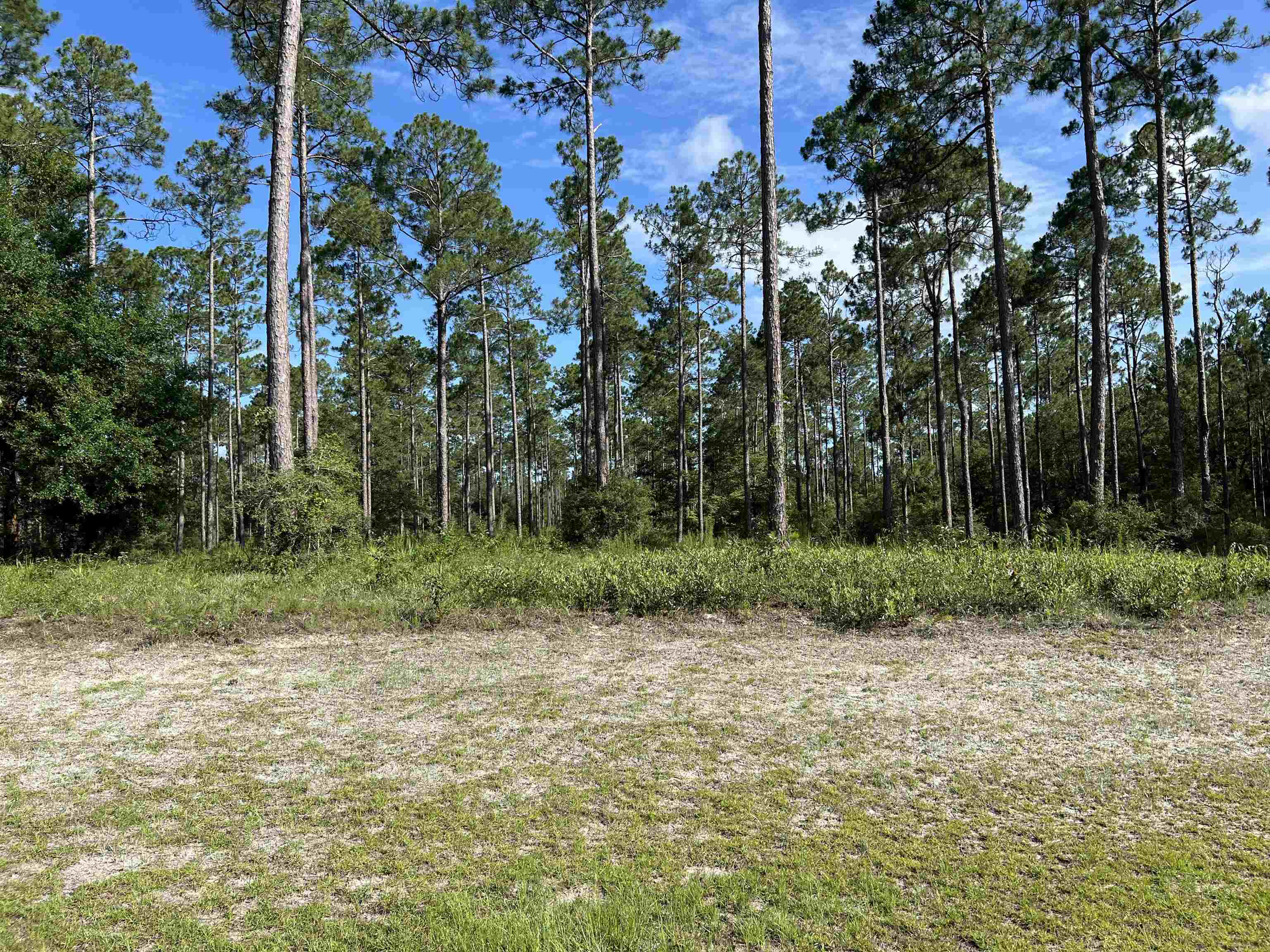 Lot I 20 Hidden Horse Way, Tallahassee, Florida image 8