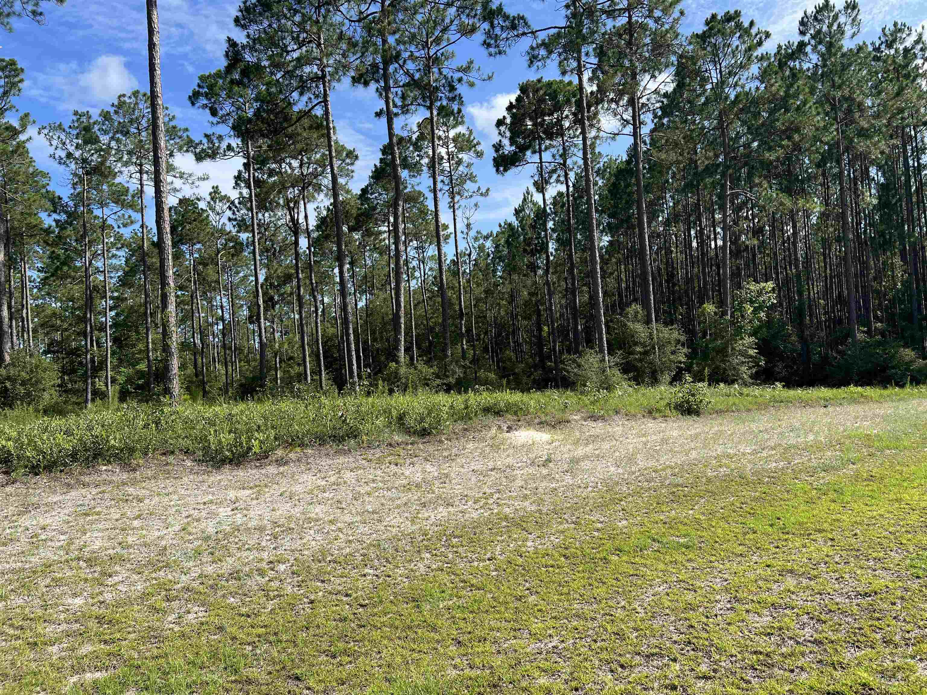 Lot I 20 Hidden Horse Way, Tallahassee, Florida image 9