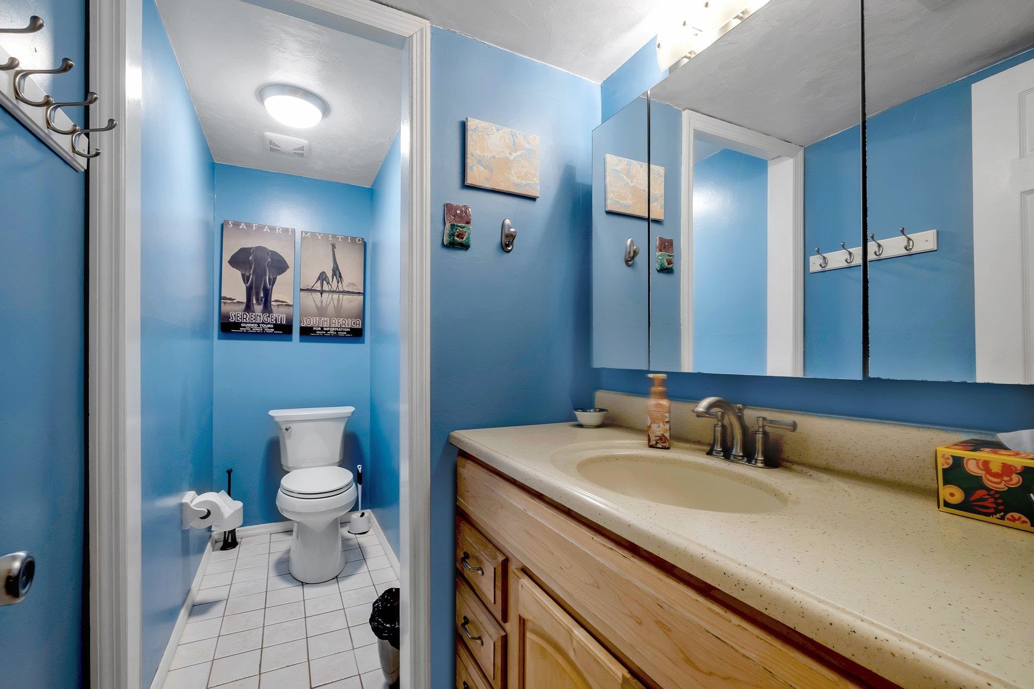 3514 Tullamore Lane, Tallahassee, Florida image 15
