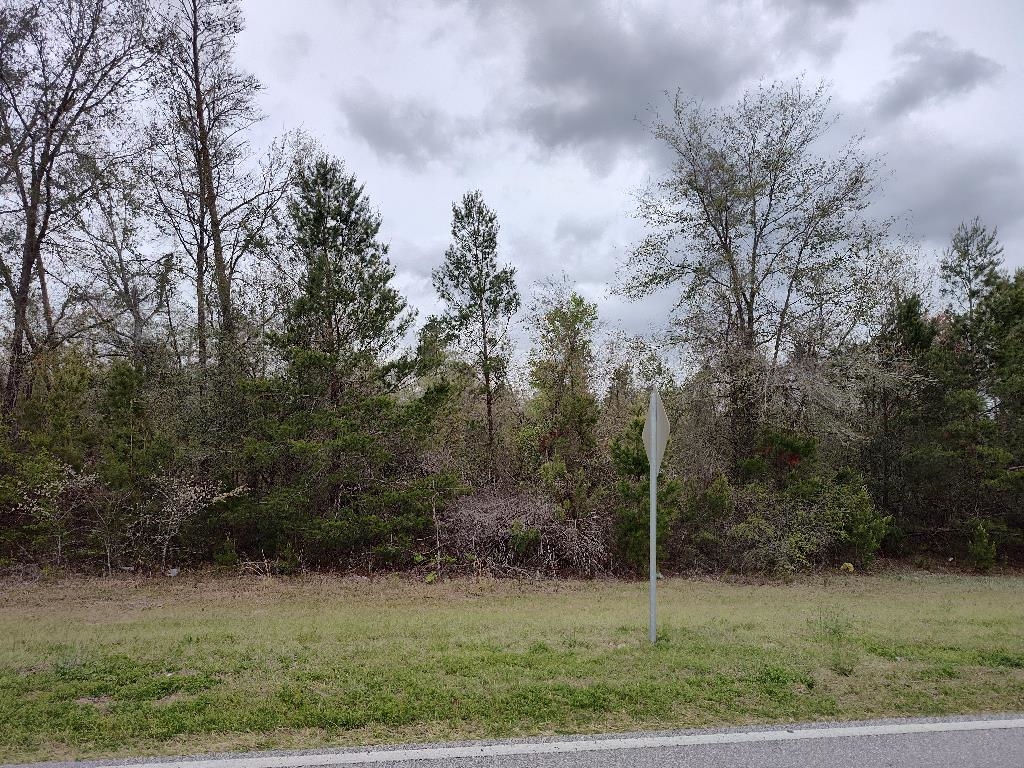 16500 S Cr 53, Lee, Florida image 5