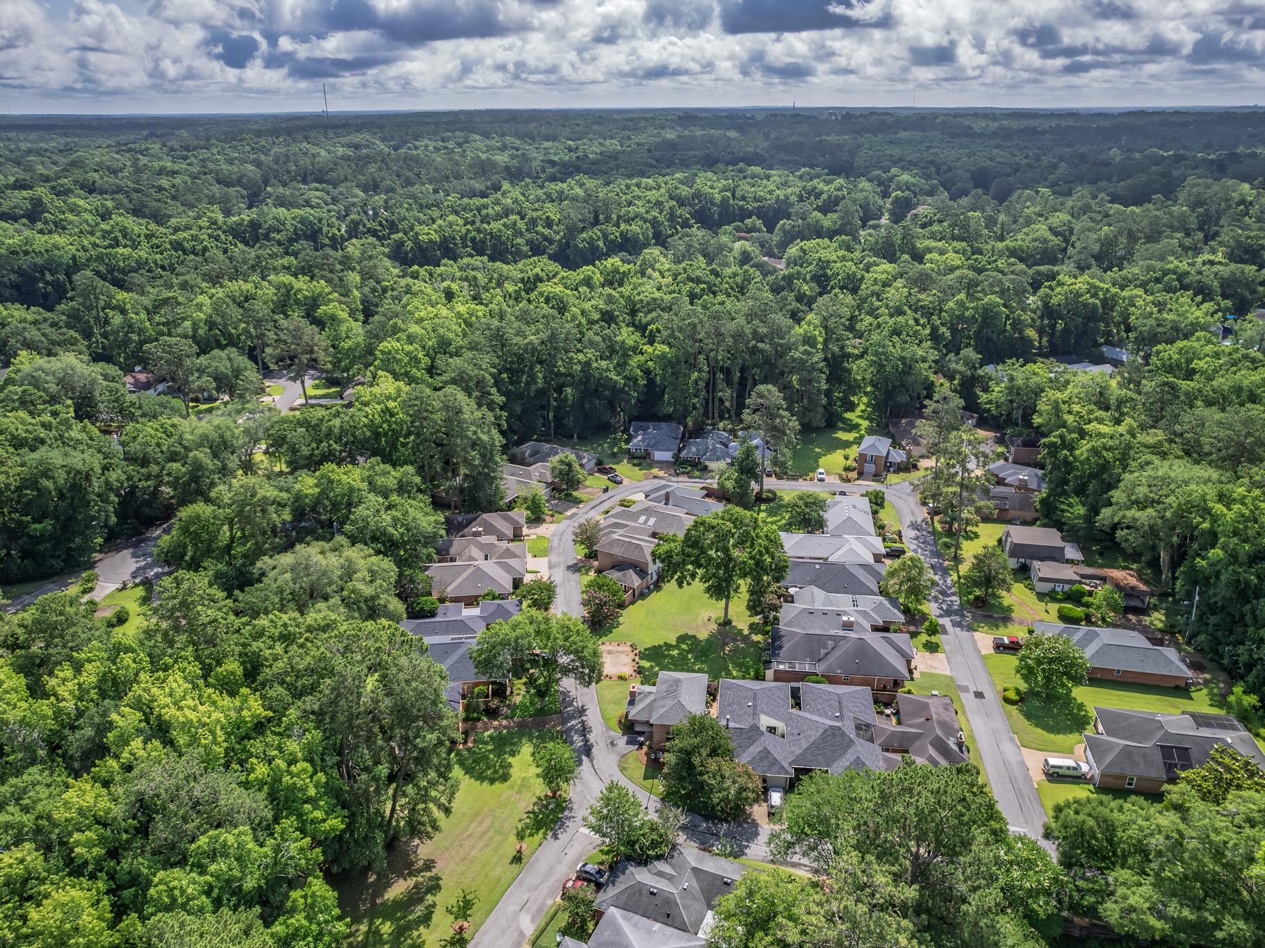 3267 Rue De Lafitte Drive, Tallahassee, Florida image 45
