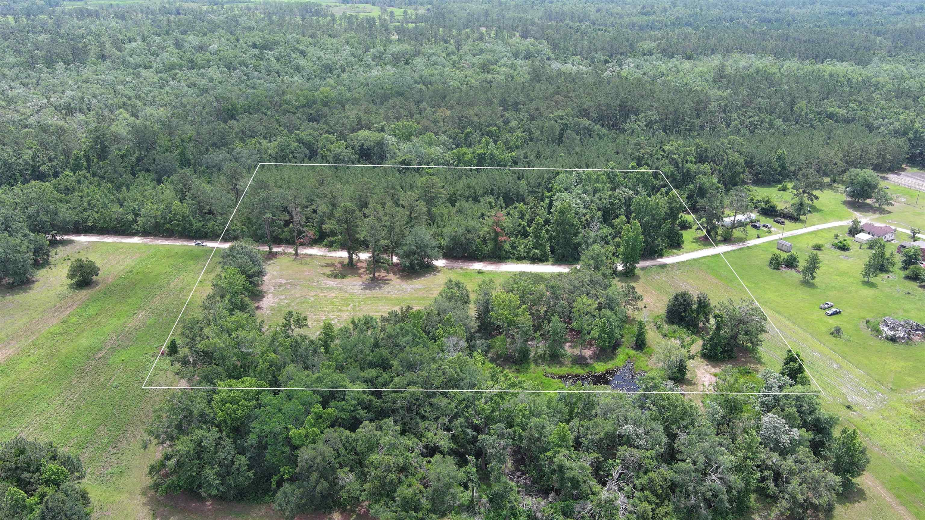 Vacant Mays Road, Lamont, Florida image 1