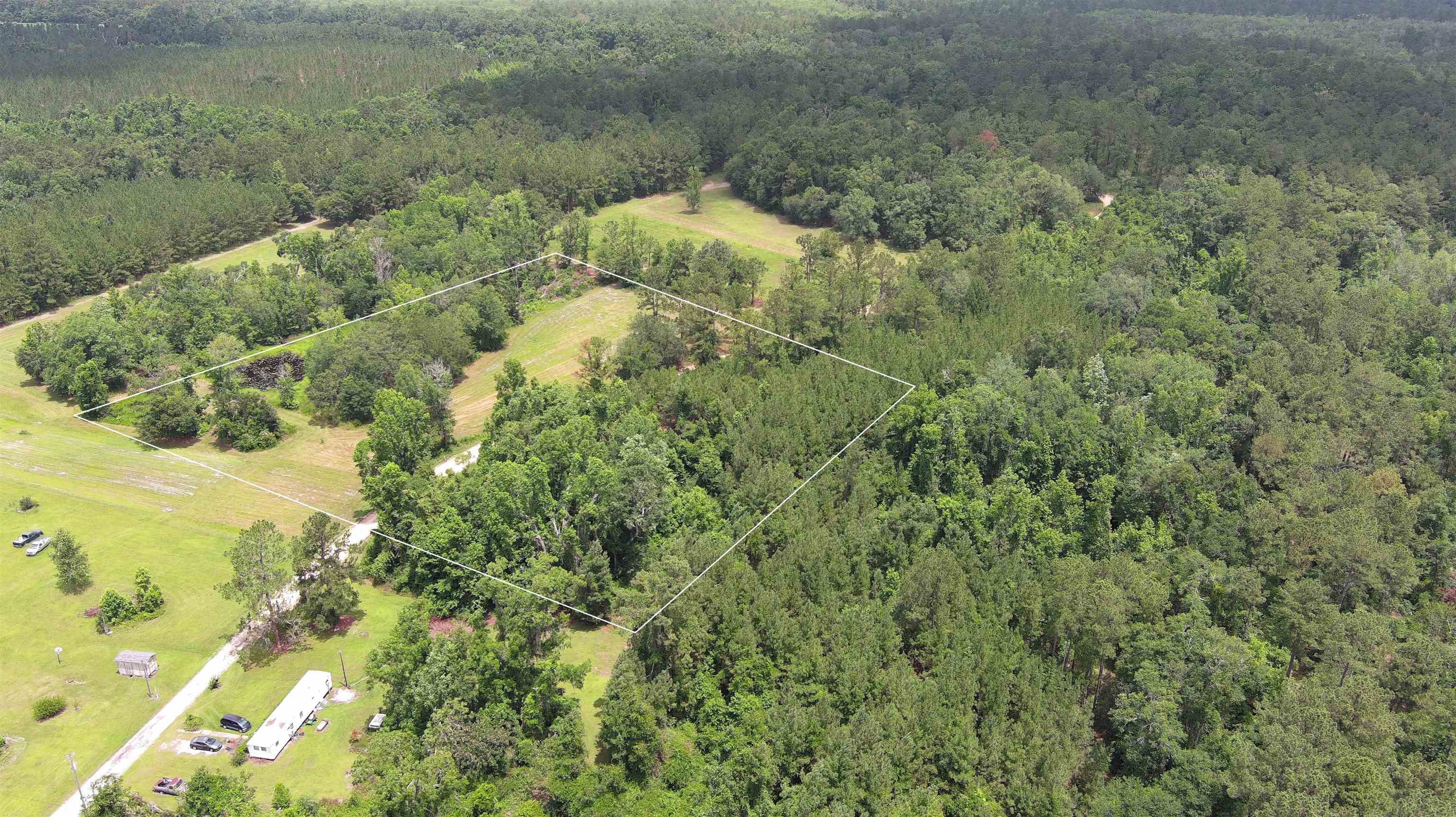 Vacant Mays Road, Lamont, Florida image 10