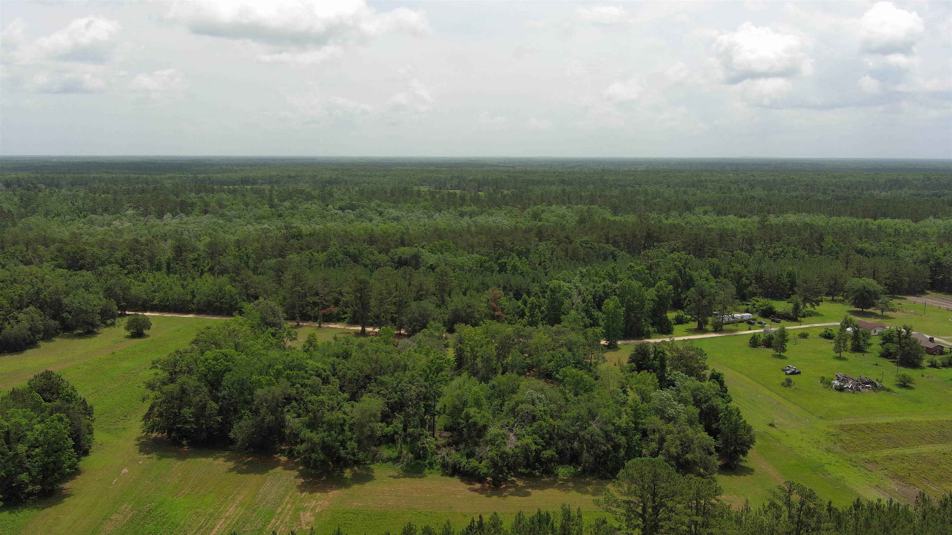 Vacant Mays Road, Lamont, Florida image 12
