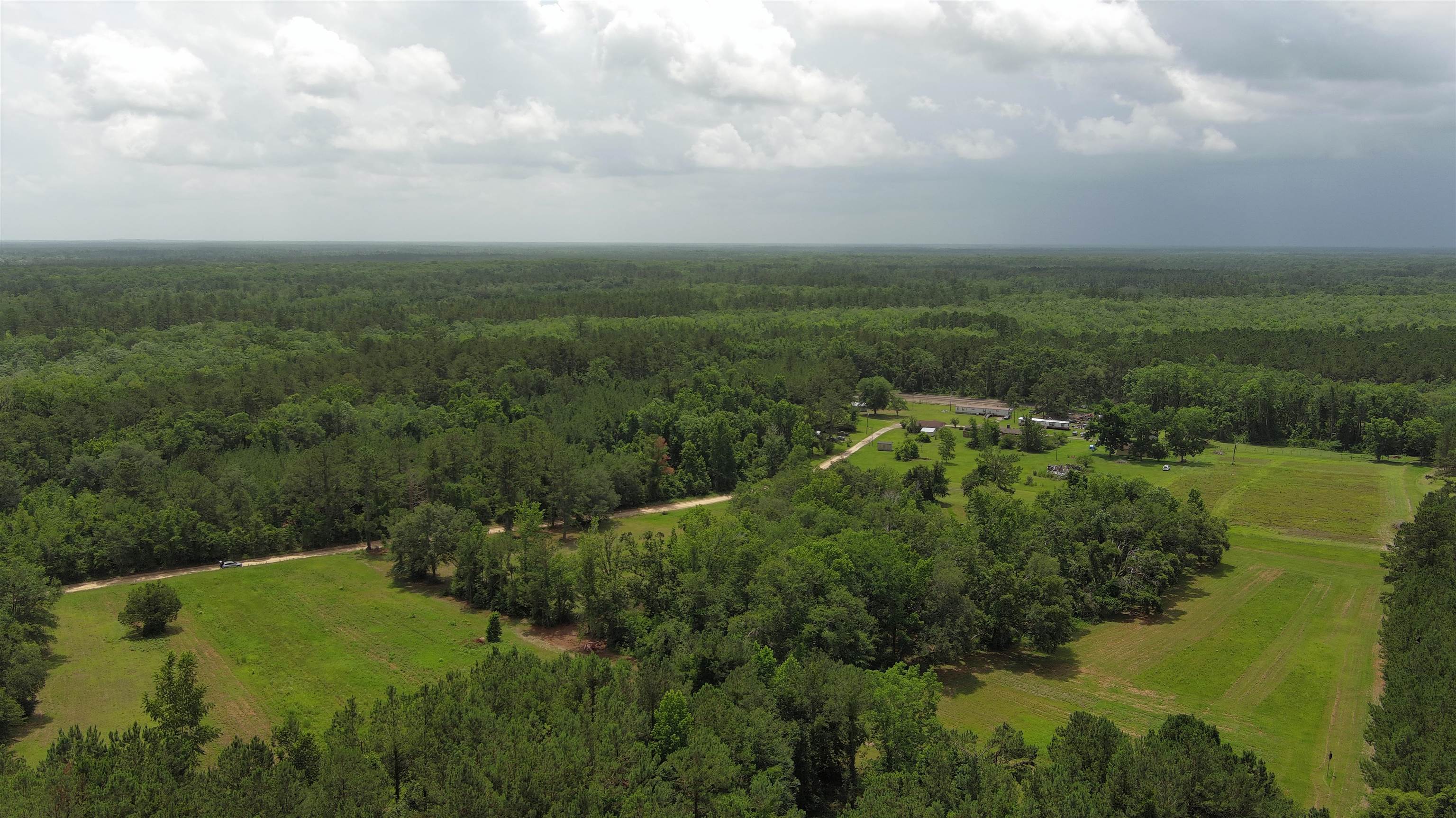 Vacant Mays Road, Lamont, Florida image 13