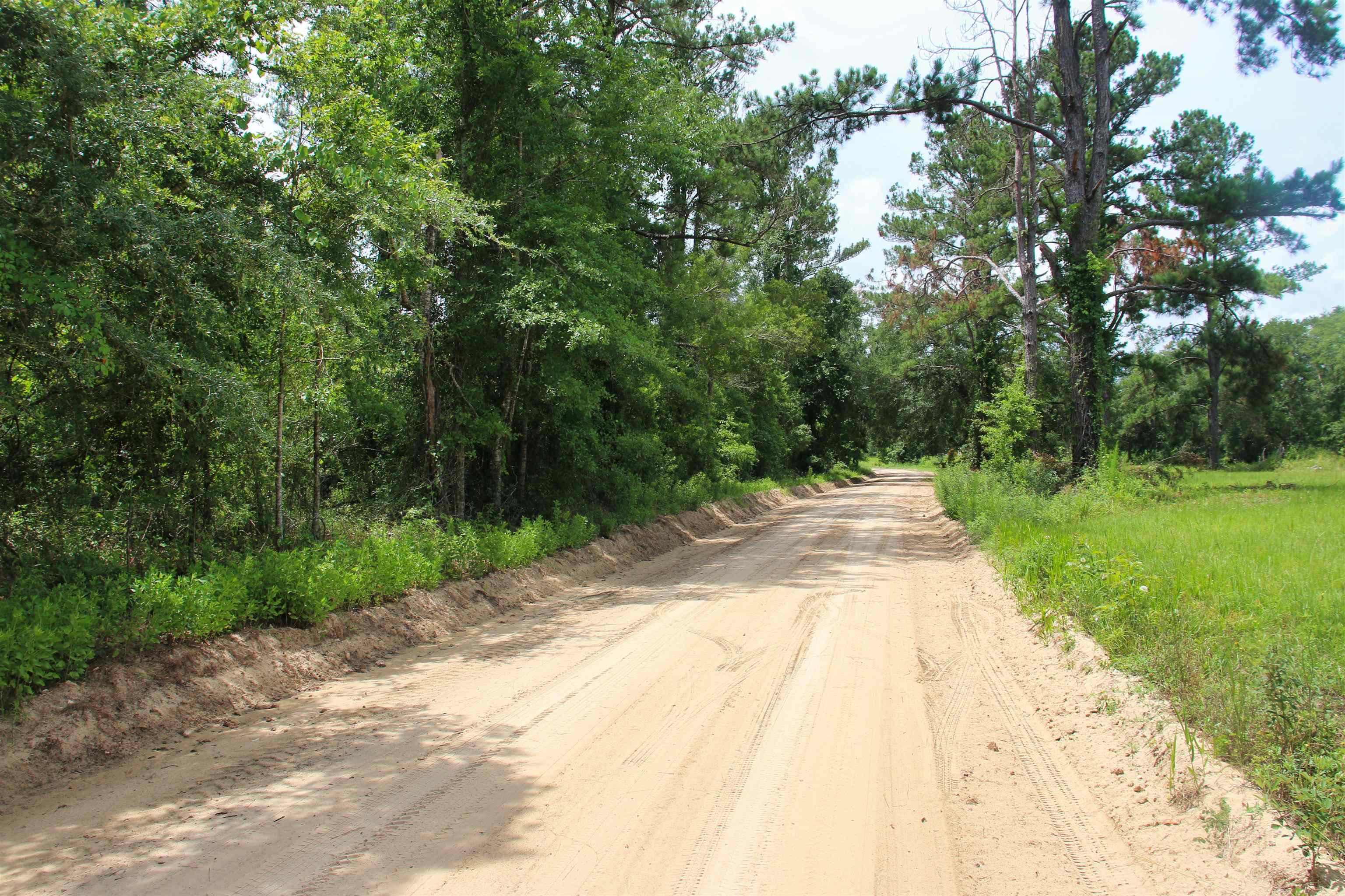 Vacant Mays Road, Lamont, Florida image 14