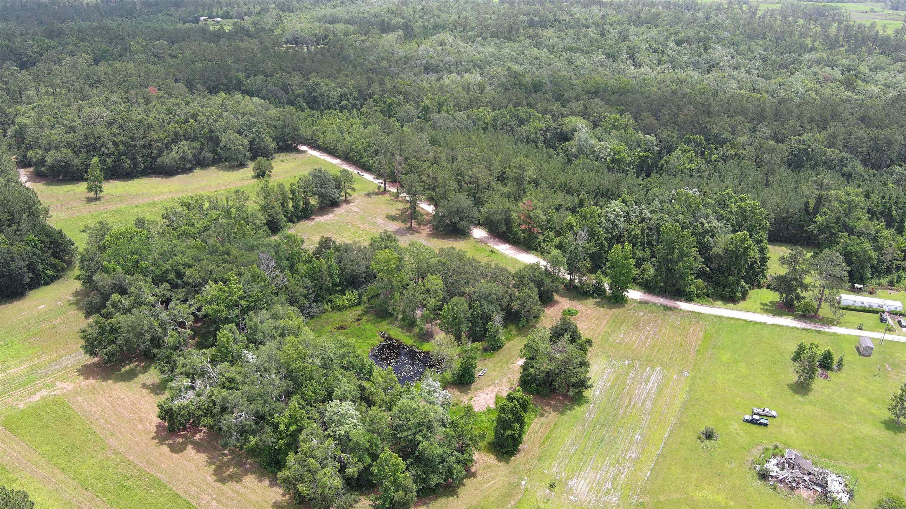 Vacant Mays Road, Lamont, Florida image 7