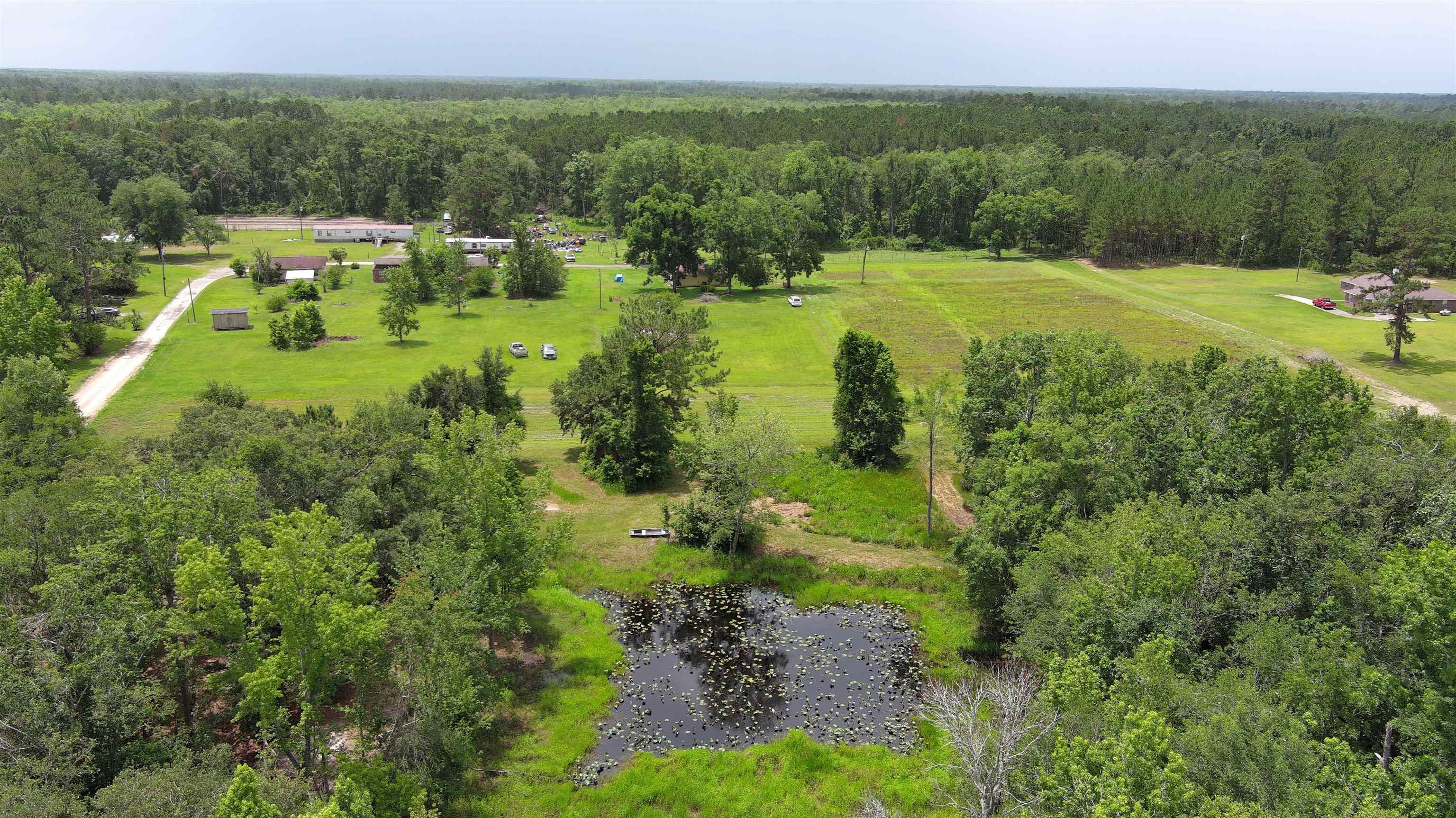 Vacant Mays Road, Lamont, Florida image 9