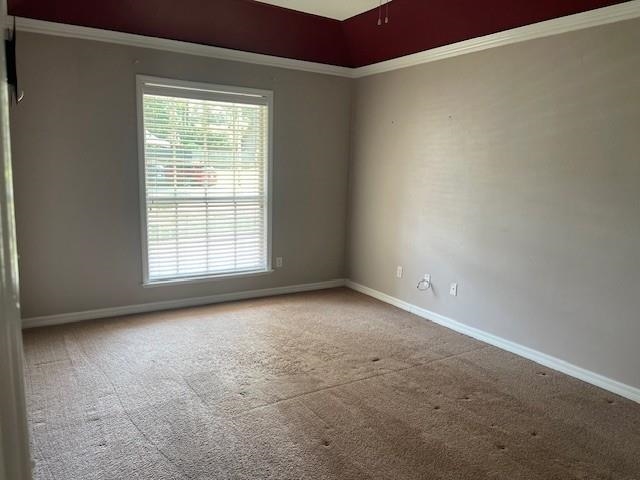3229 Earl Drive, Tallahassee, Florida image 10