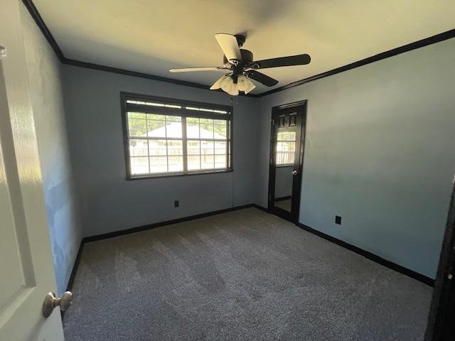3229 Earl Drive, Tallahassee, Florida image 12