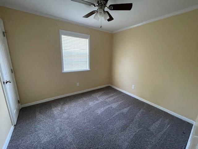 3229 Earl Drive, Tallahassee, Florida image 14