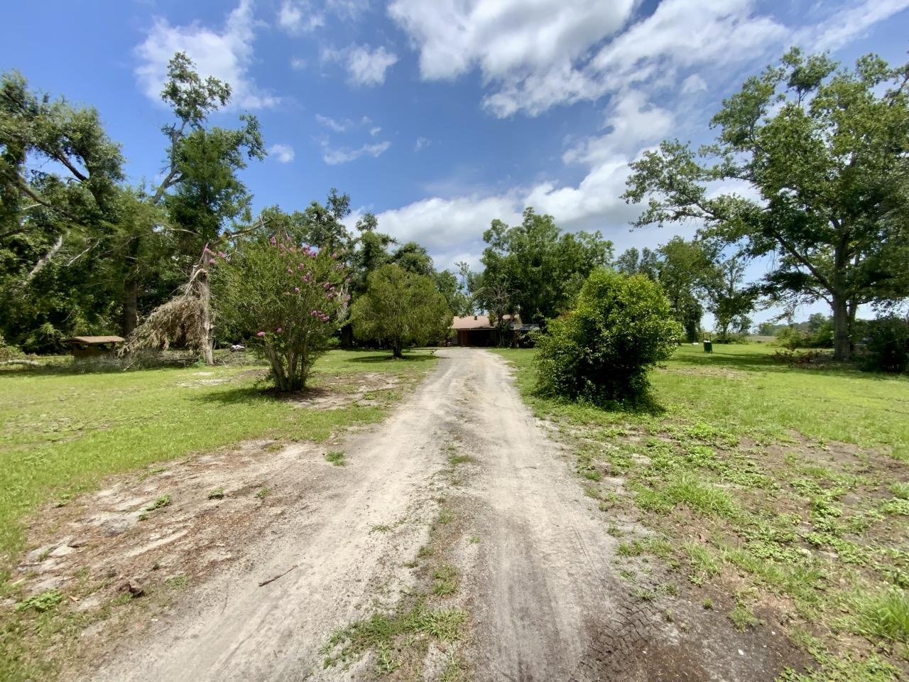 5581 S Sr 53, Madison, Texas image 4