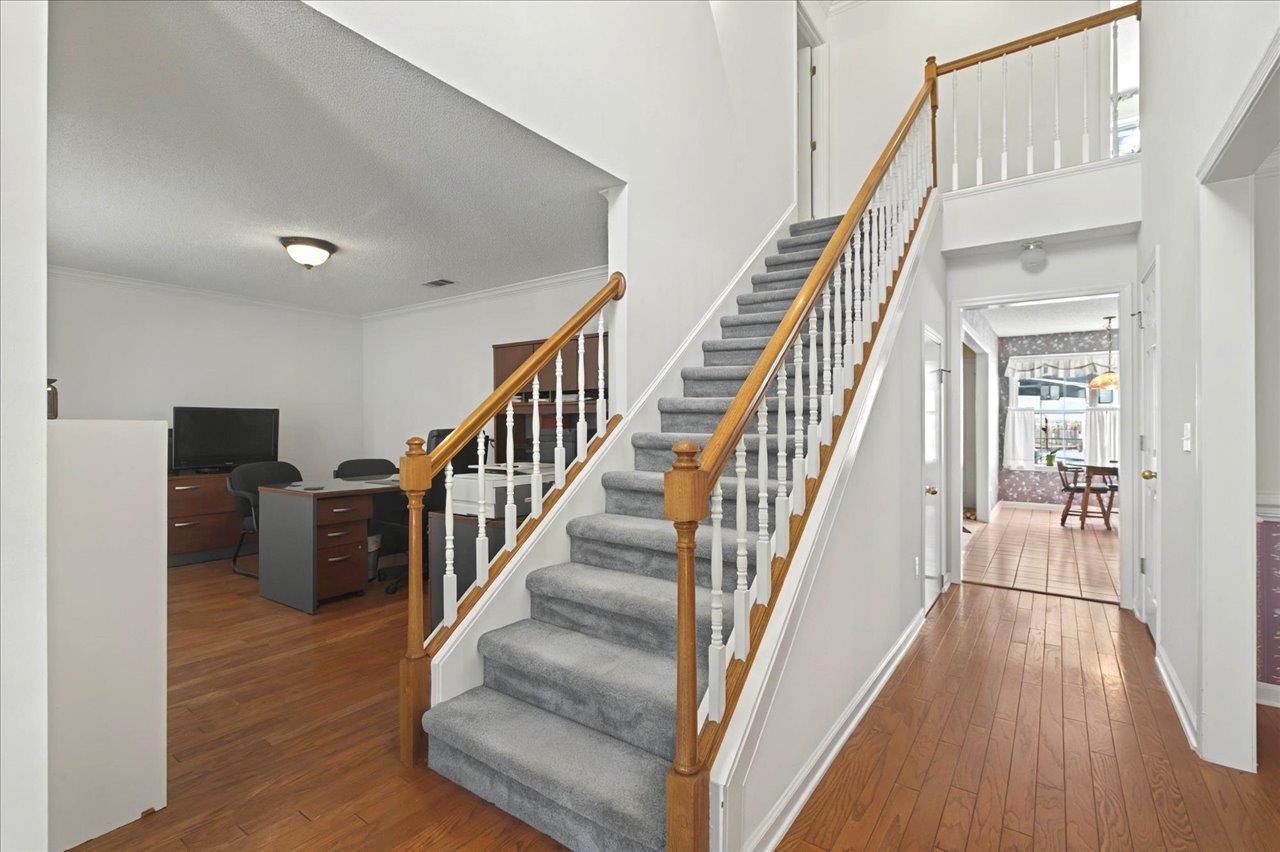 7787 Mcclure Drive, Tallahassee, Florida image 8