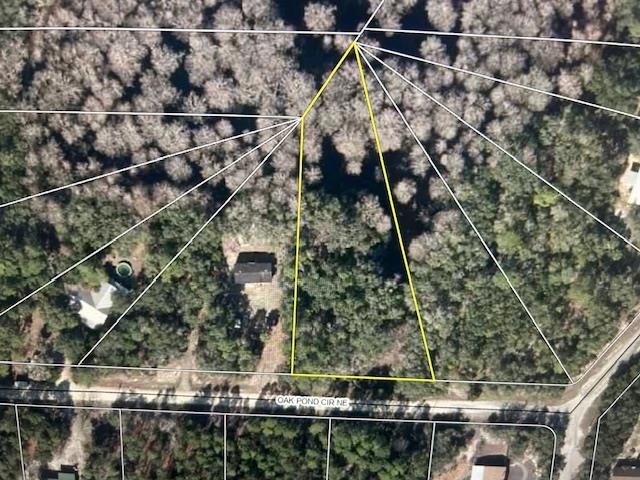 LOT 127 NE Oak Pond Circle, Steinhatchee, Florida image 2