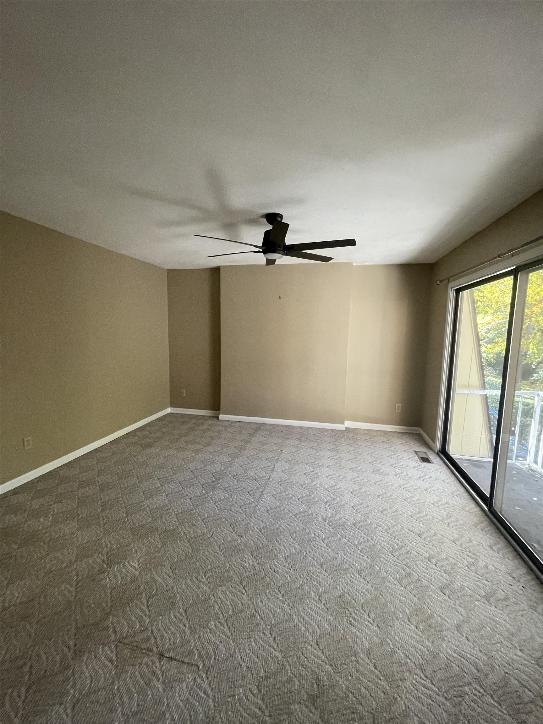 2965 Shamrock Street #33, Tallahassee, Texas image 25