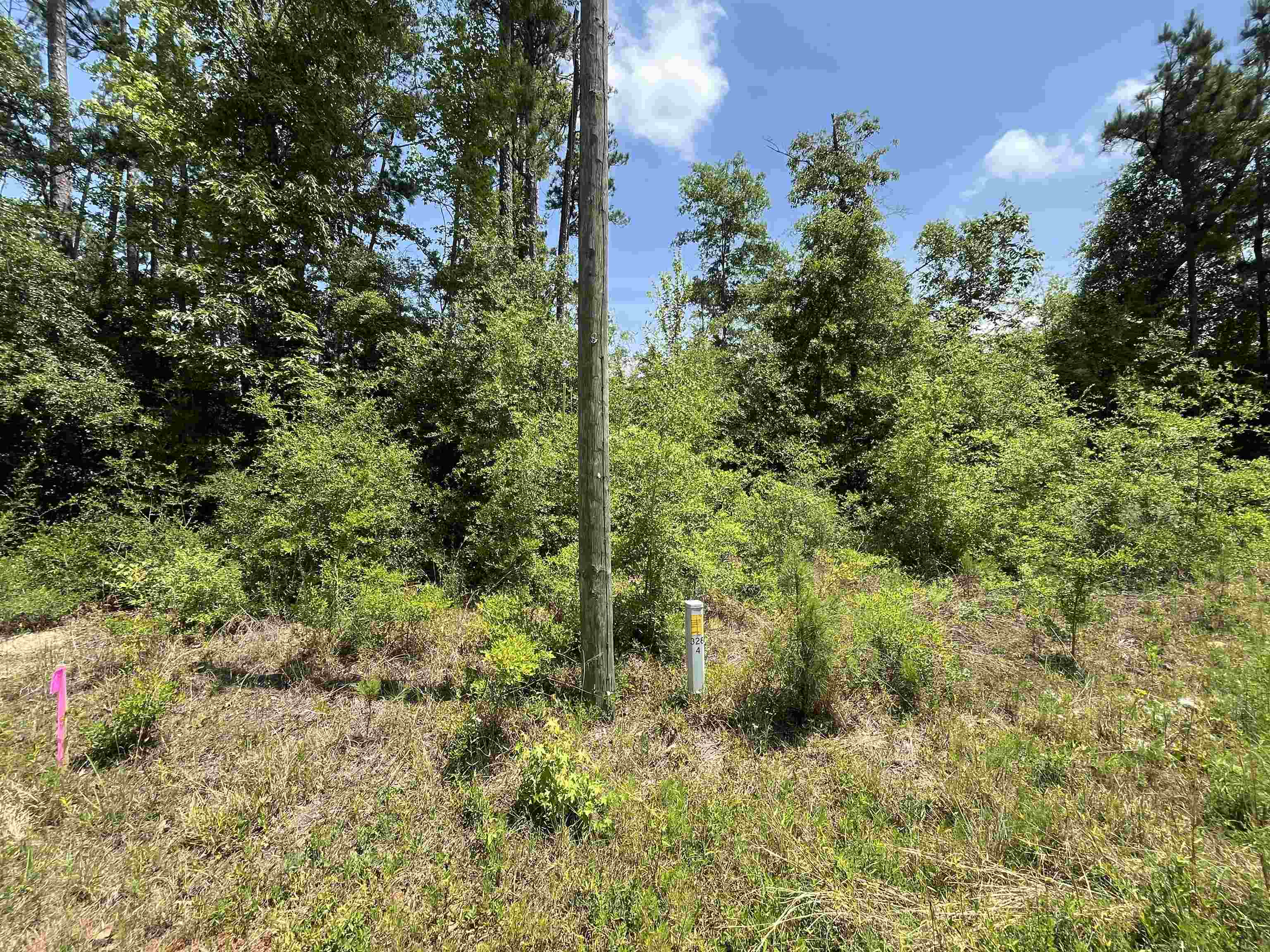 TBD Grand Quiviera Circle, Alford, Florida image 7