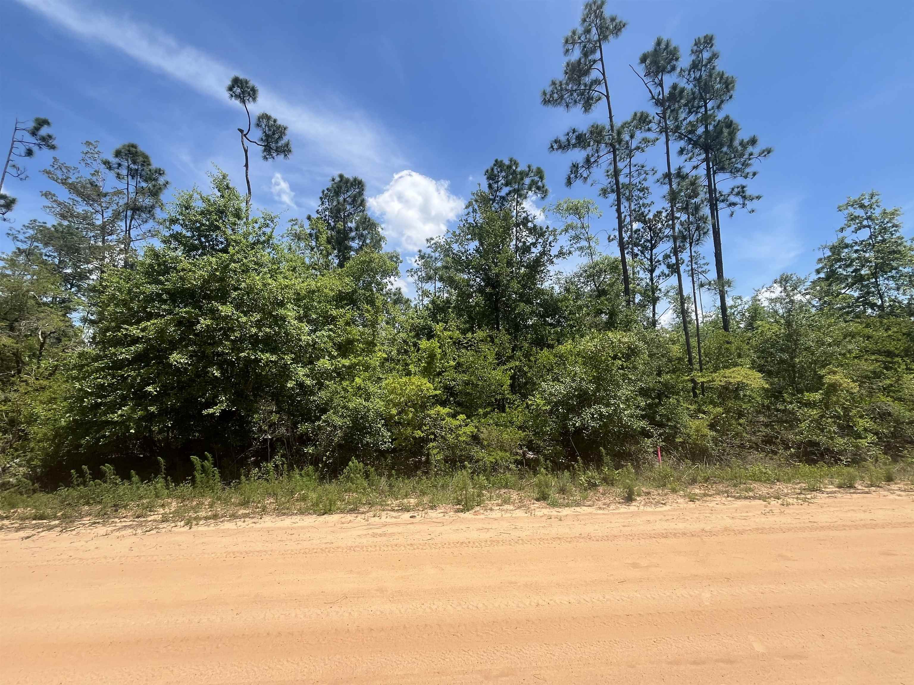TBD Tamarac Road, Marianna, Florida image 1