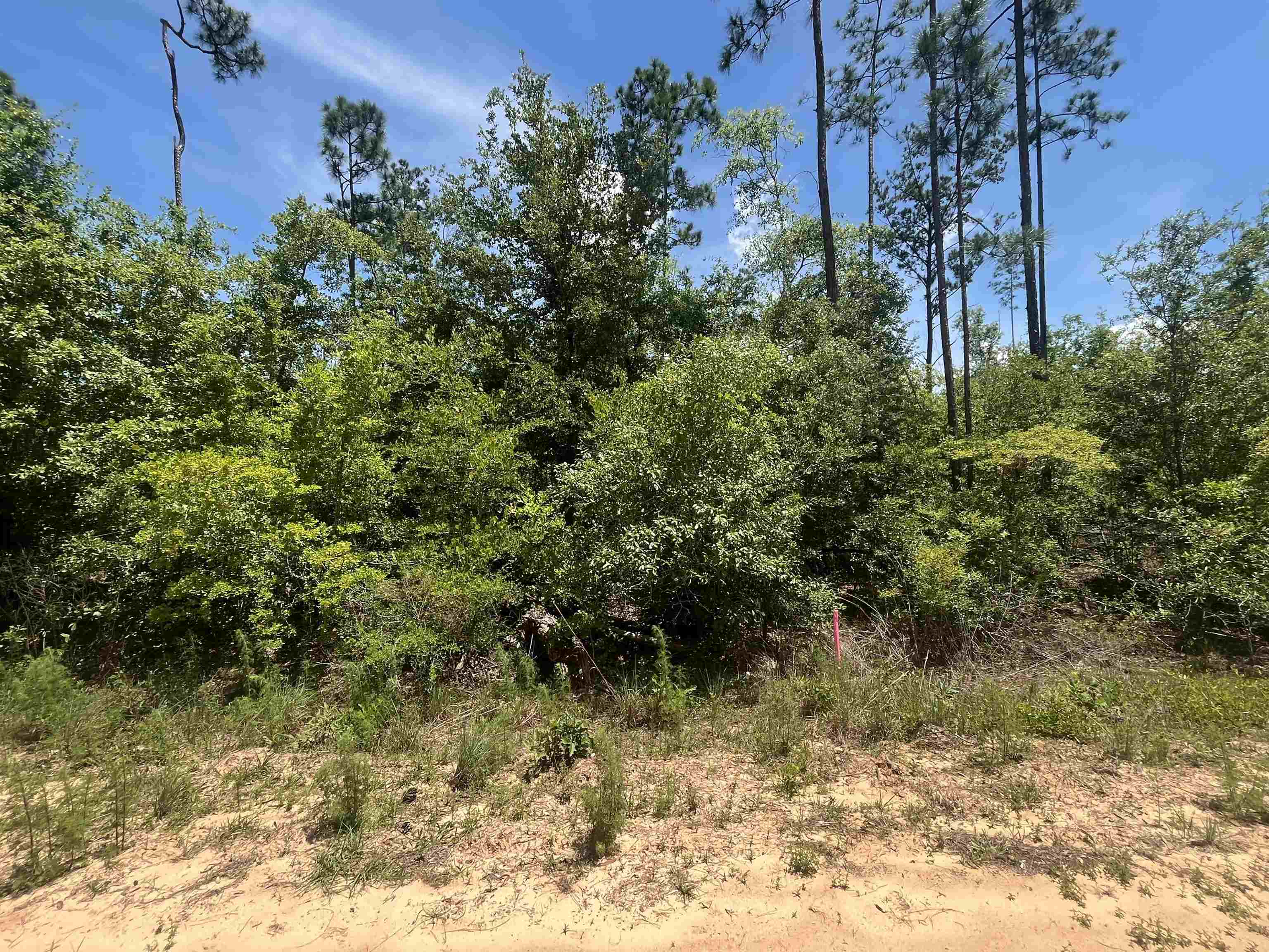 TBD Tamarac Road, Marianna, Florida image 3