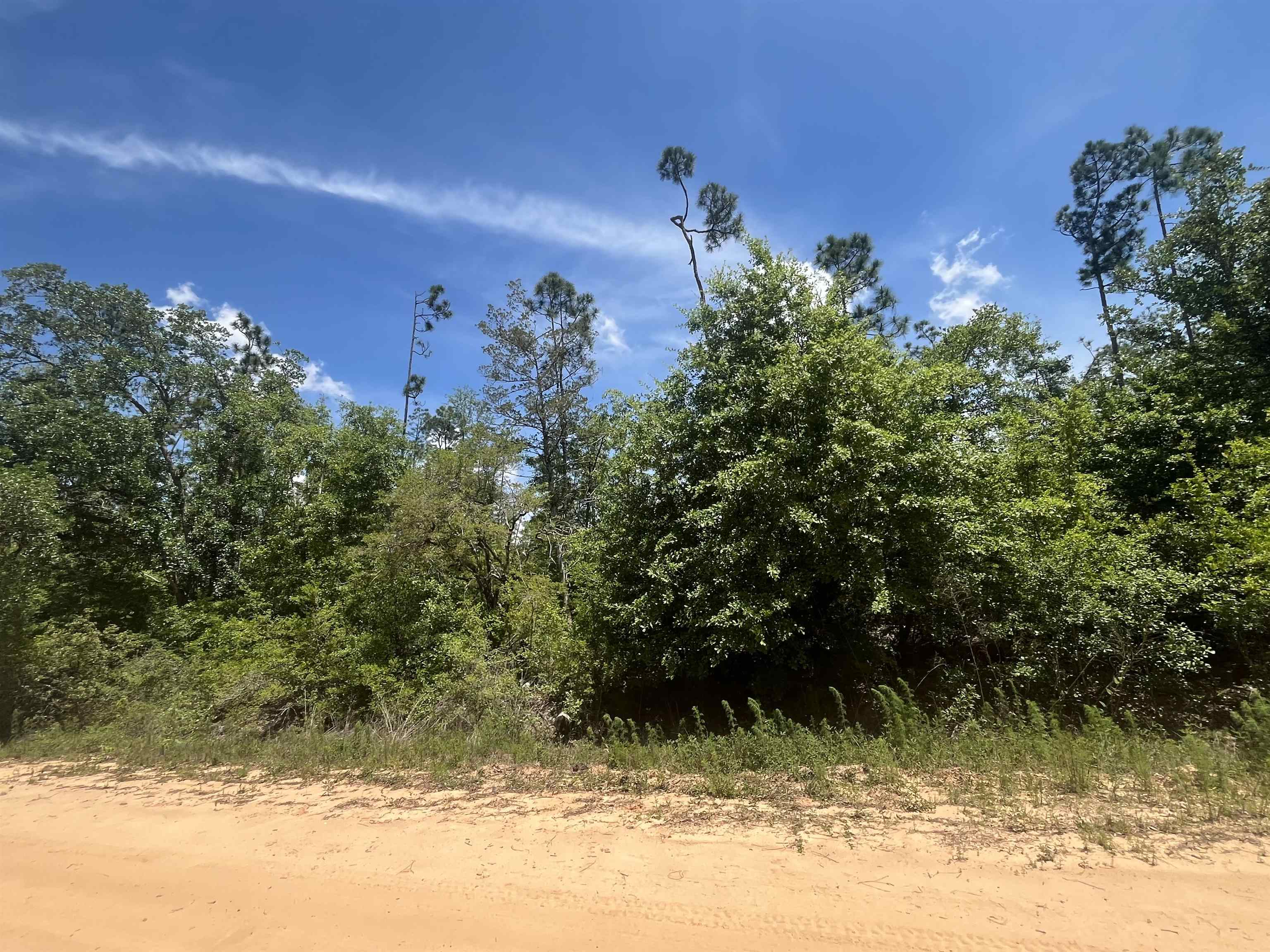 TBD Tamarac Road, Marianna, Florida image 4