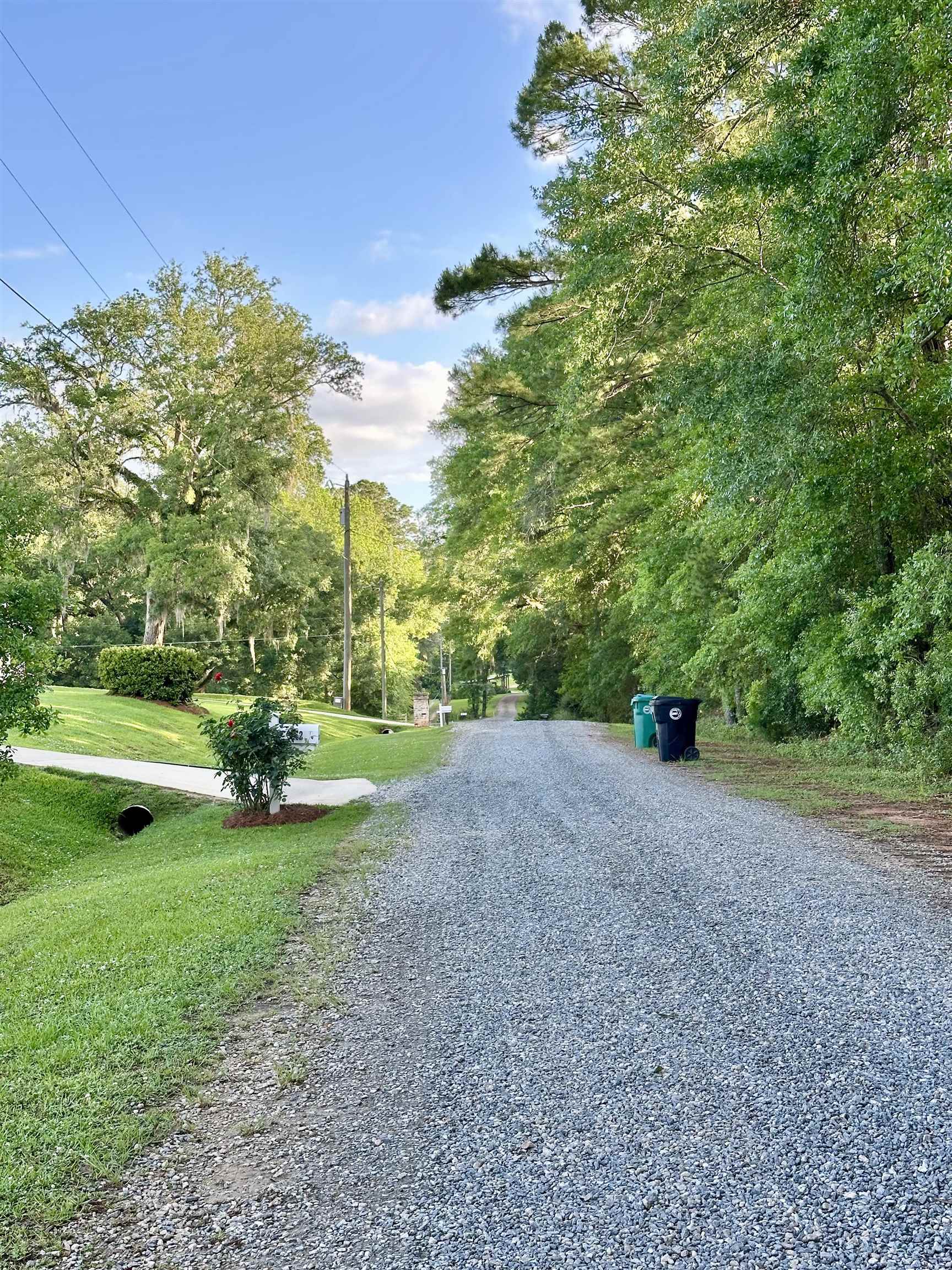 Lot 22 Settler Avenue, Tallahassee, Texas image 7