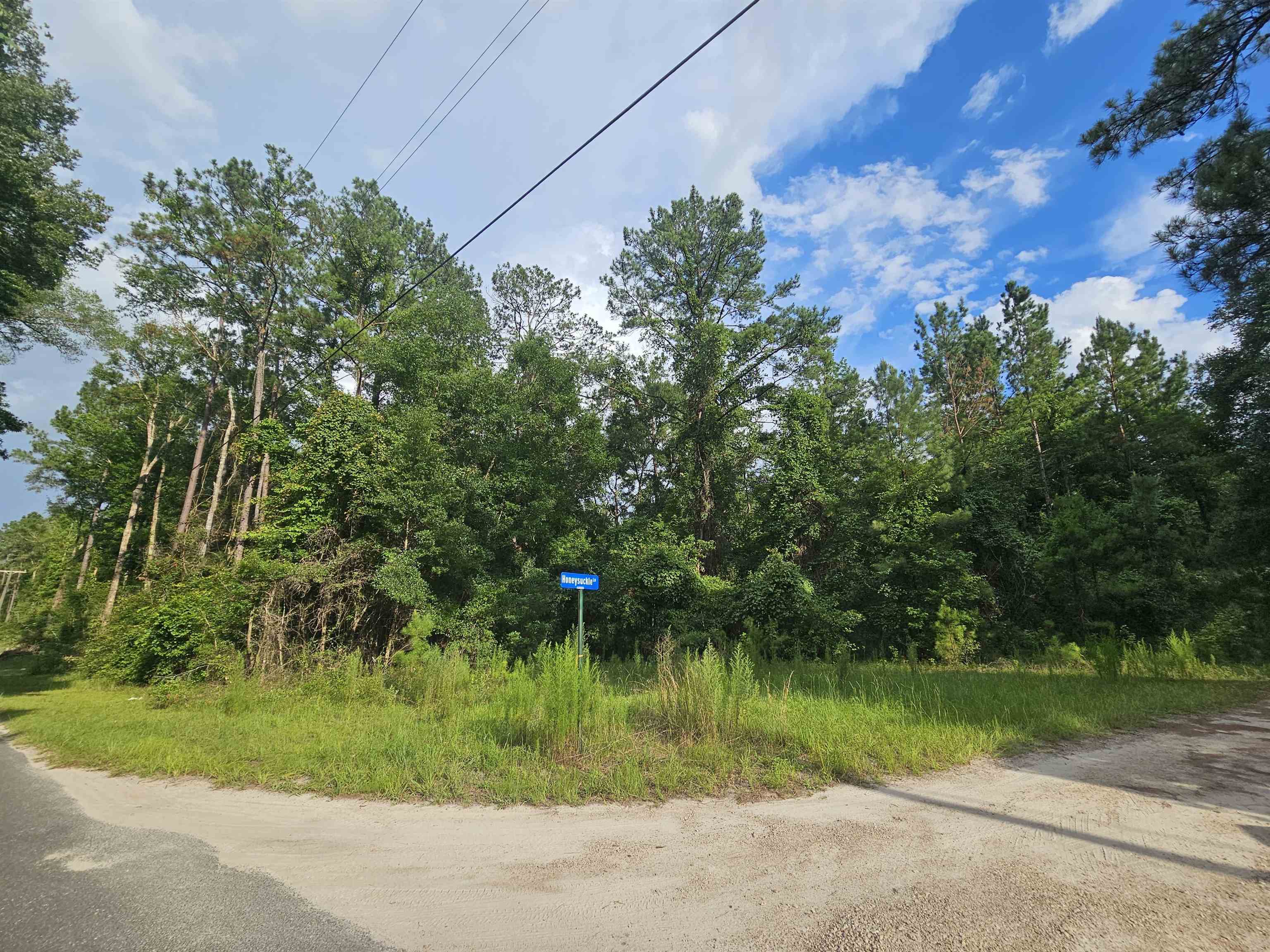XX Staten Road, Crawfordville, Florida image 10