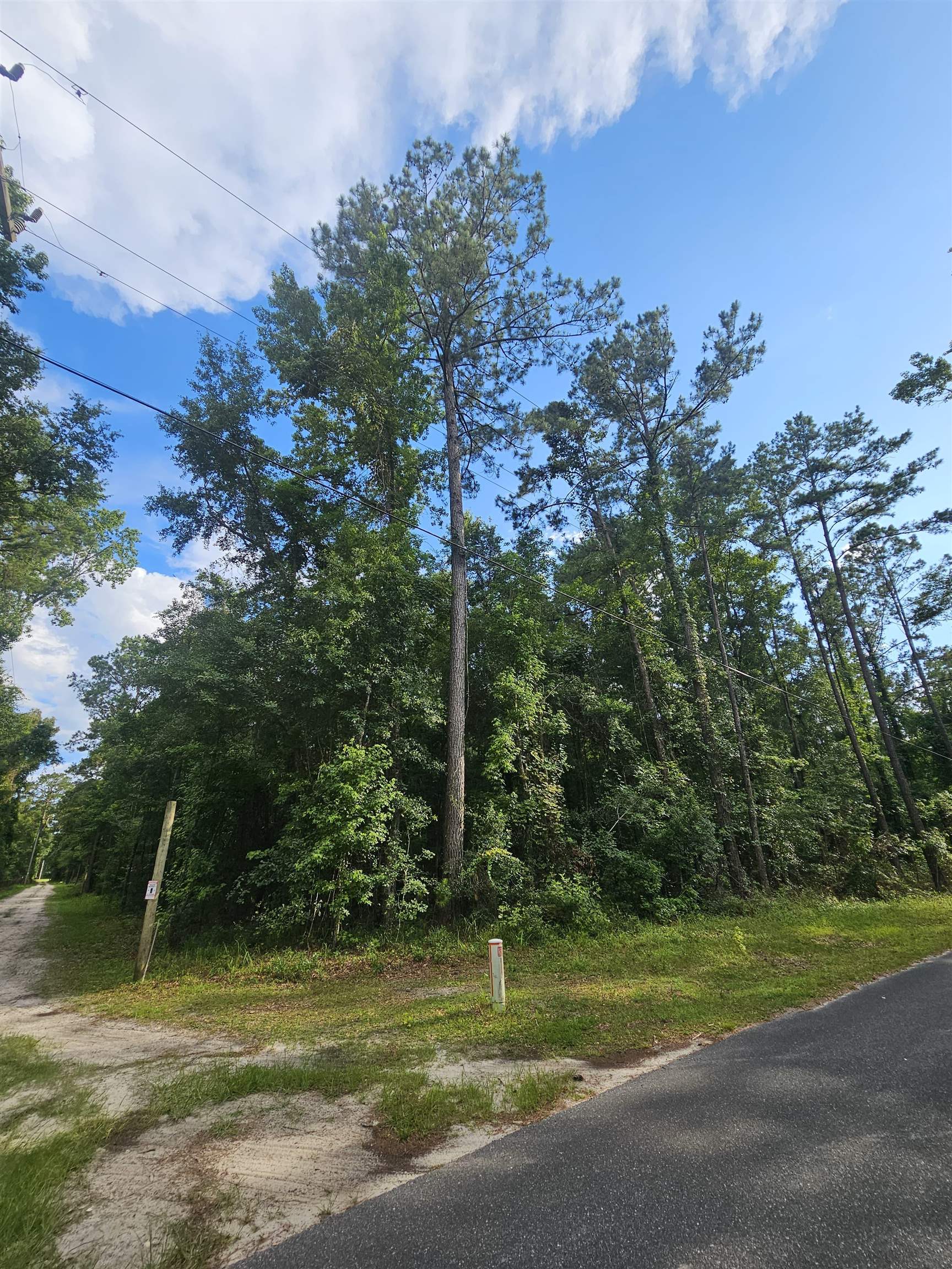 XX Staten Road, Crawfordville, Florida image 3