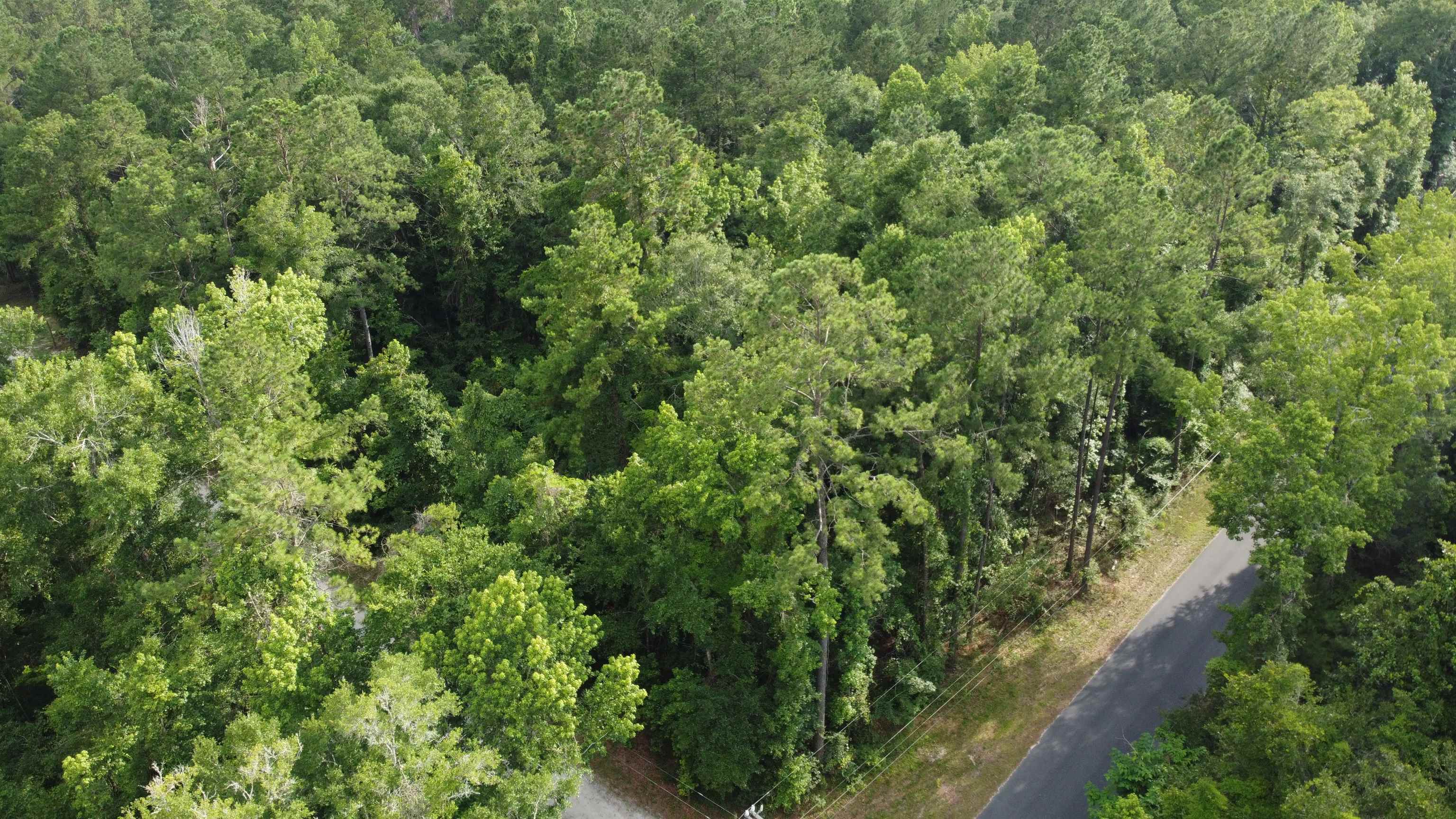 XX Staten Road, Crawfordville, Florida image 5