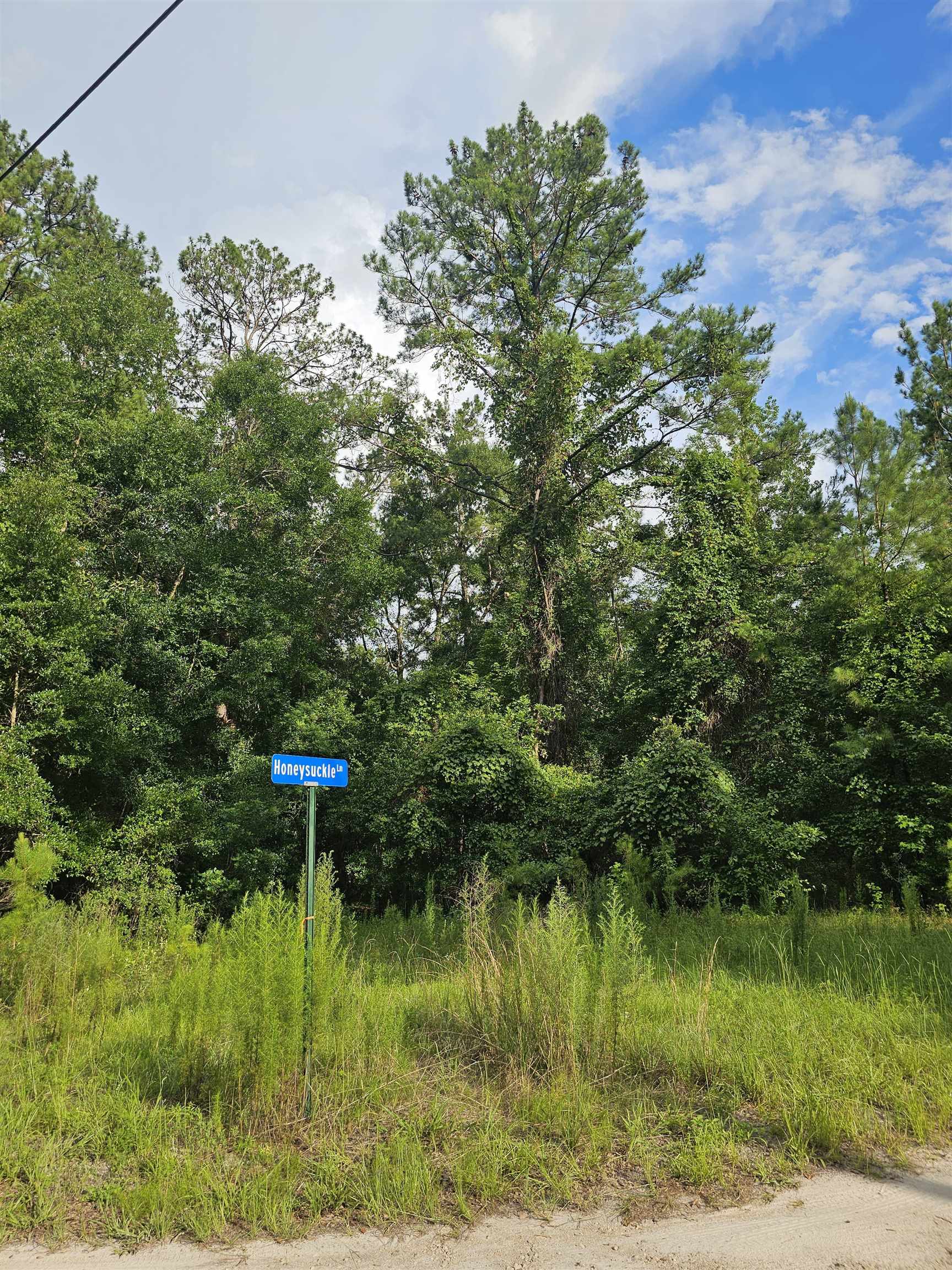XX Staten Road, Crawfordville, Florida image 8