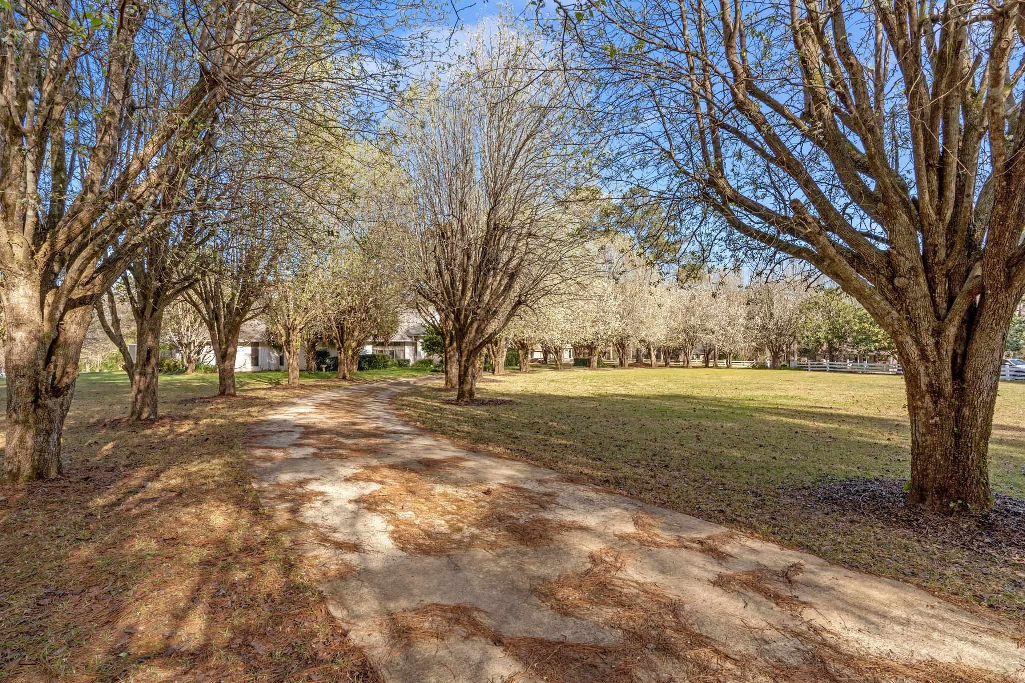 6069 Thackeray Lane, Tallahassee, Florida image 41