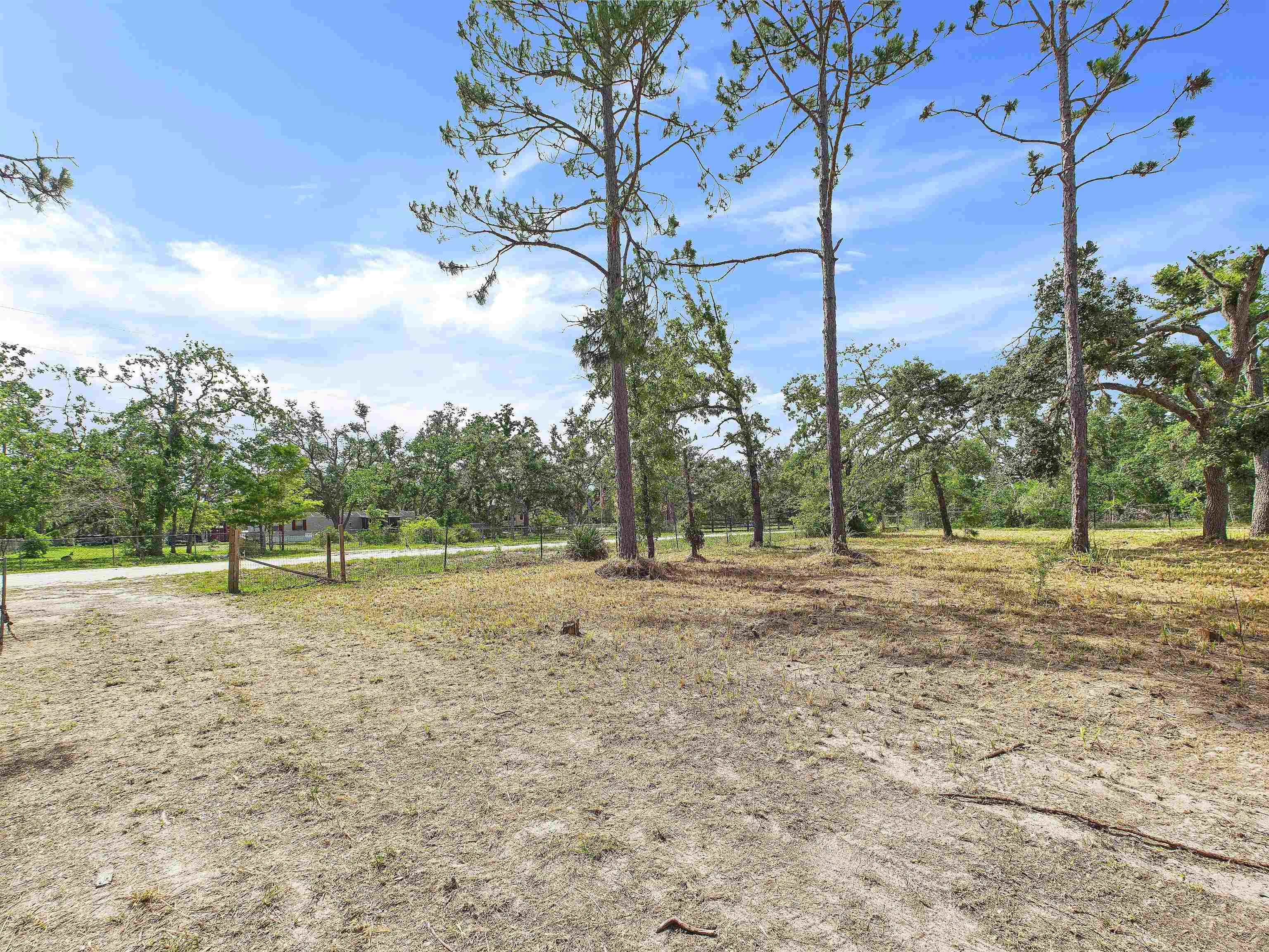 15098 E Royal Oaks Drive, Perry, Florida image 16