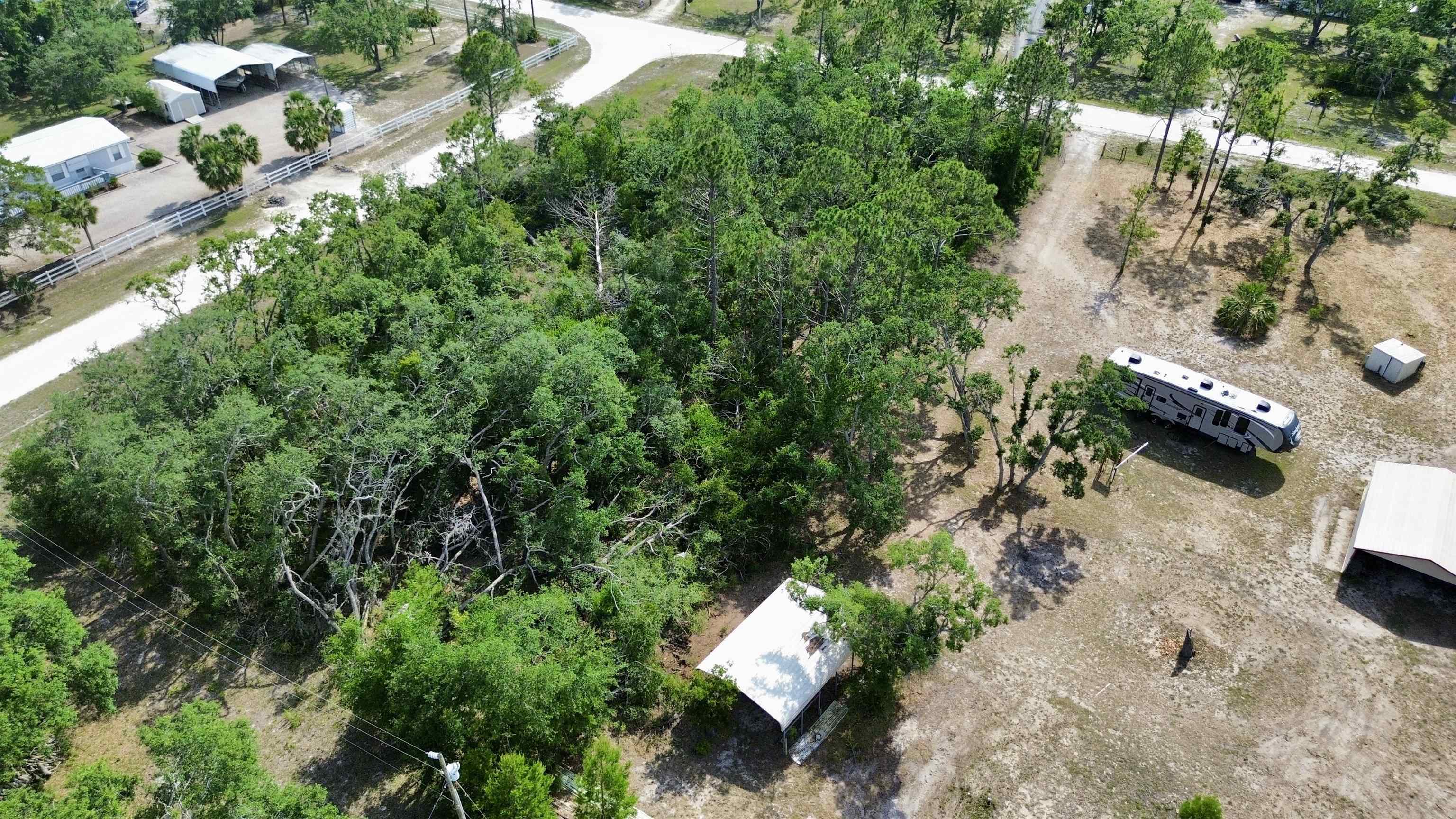 15098 E Royal Oaks Drive, Perry, Florida image 3