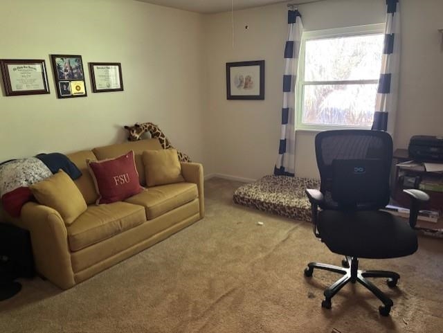 500 Forest Green Drive, Tallahassee, Florida image 15