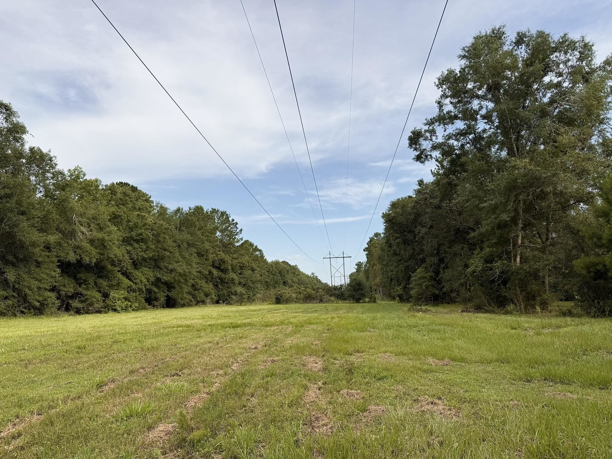 415 Hunters Trace, Crawfordville, Florida image 26
