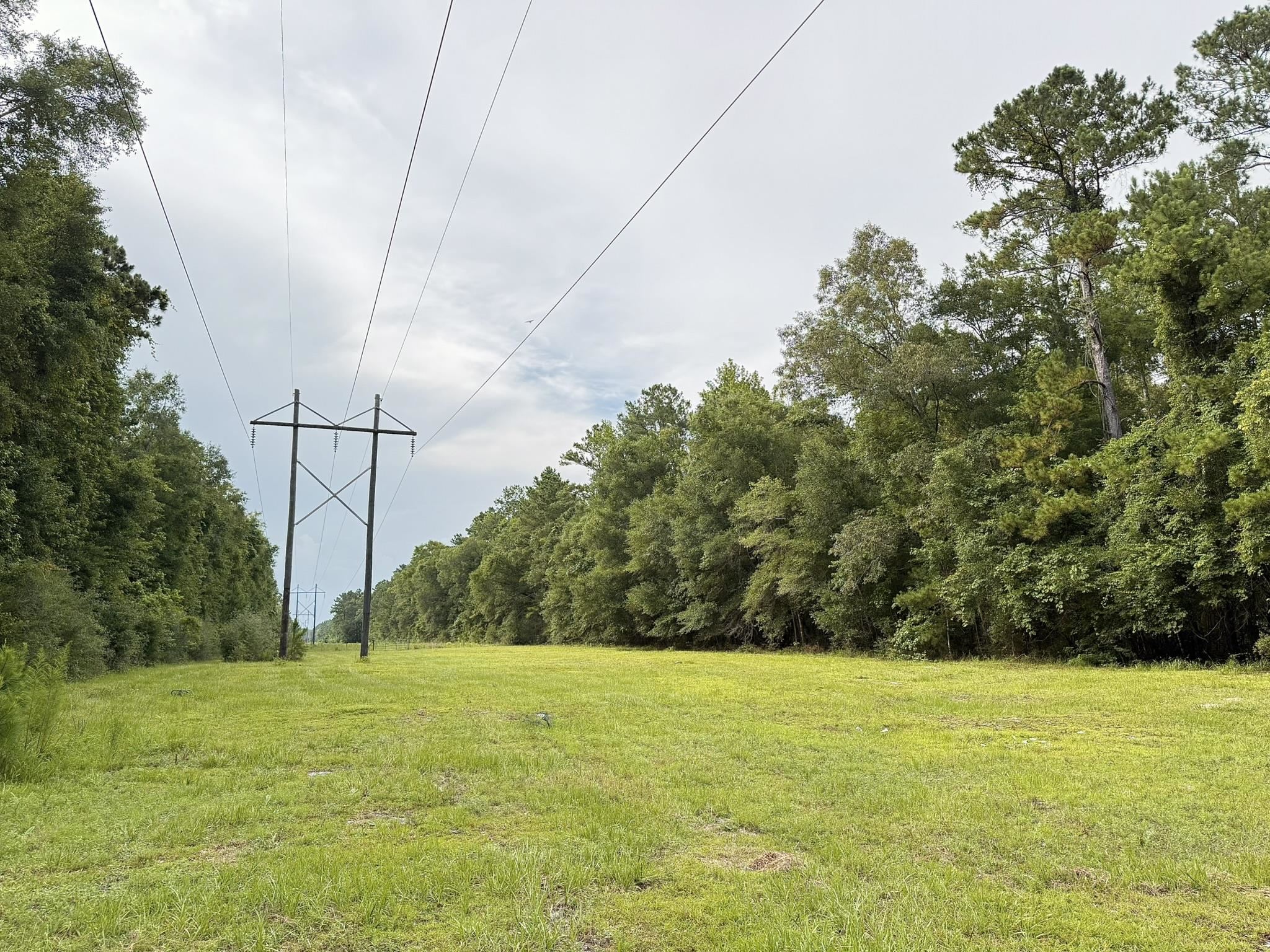 415 Hunters Trace, Crawfordville, Florida image 27