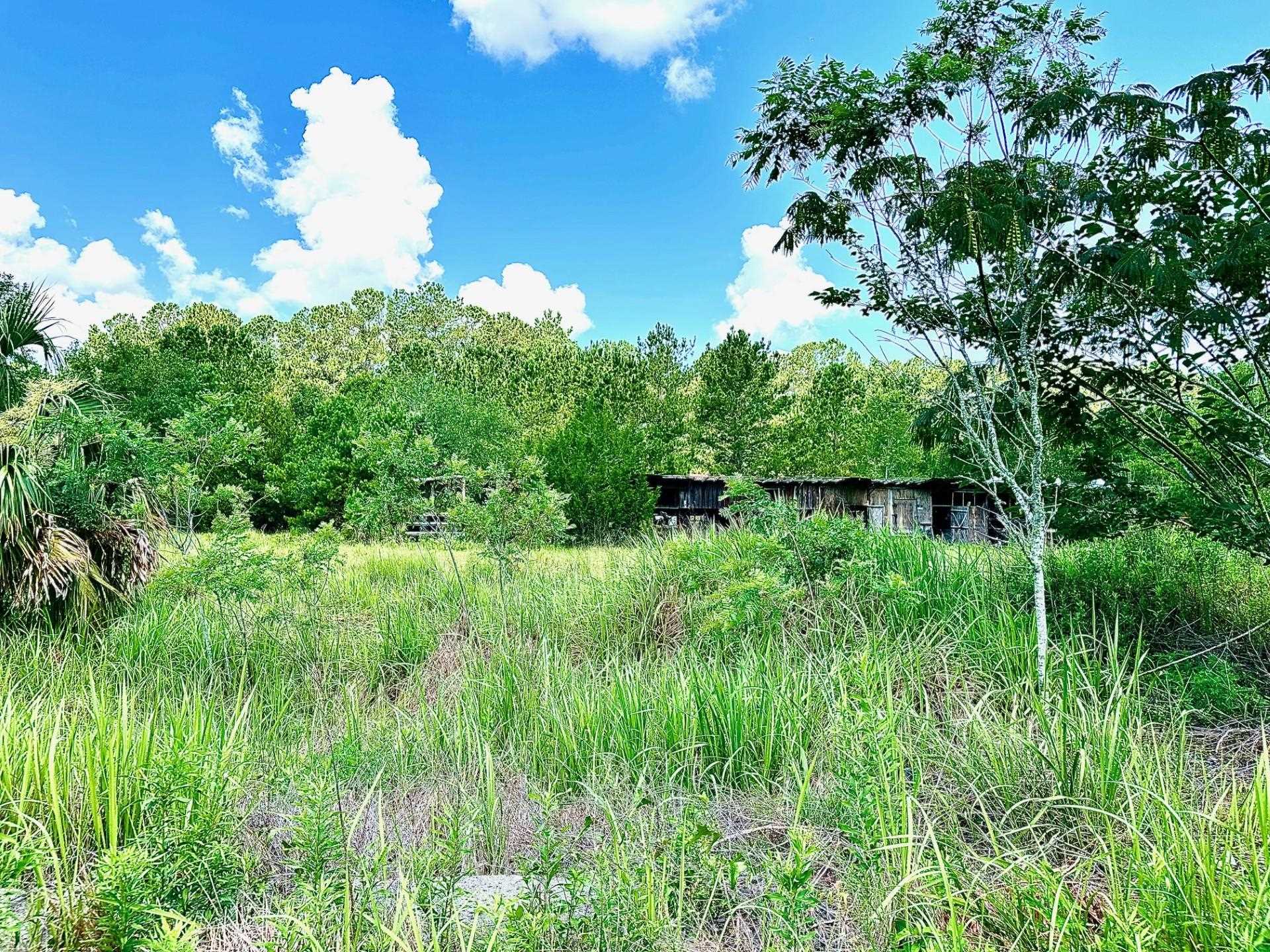 2820 Coastal Highway, Crawfordville, Texas image 7