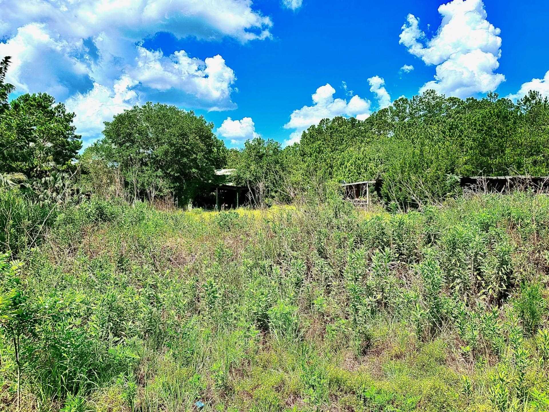 2820 Coastal Highway, Crawfordville, Texas image 8
