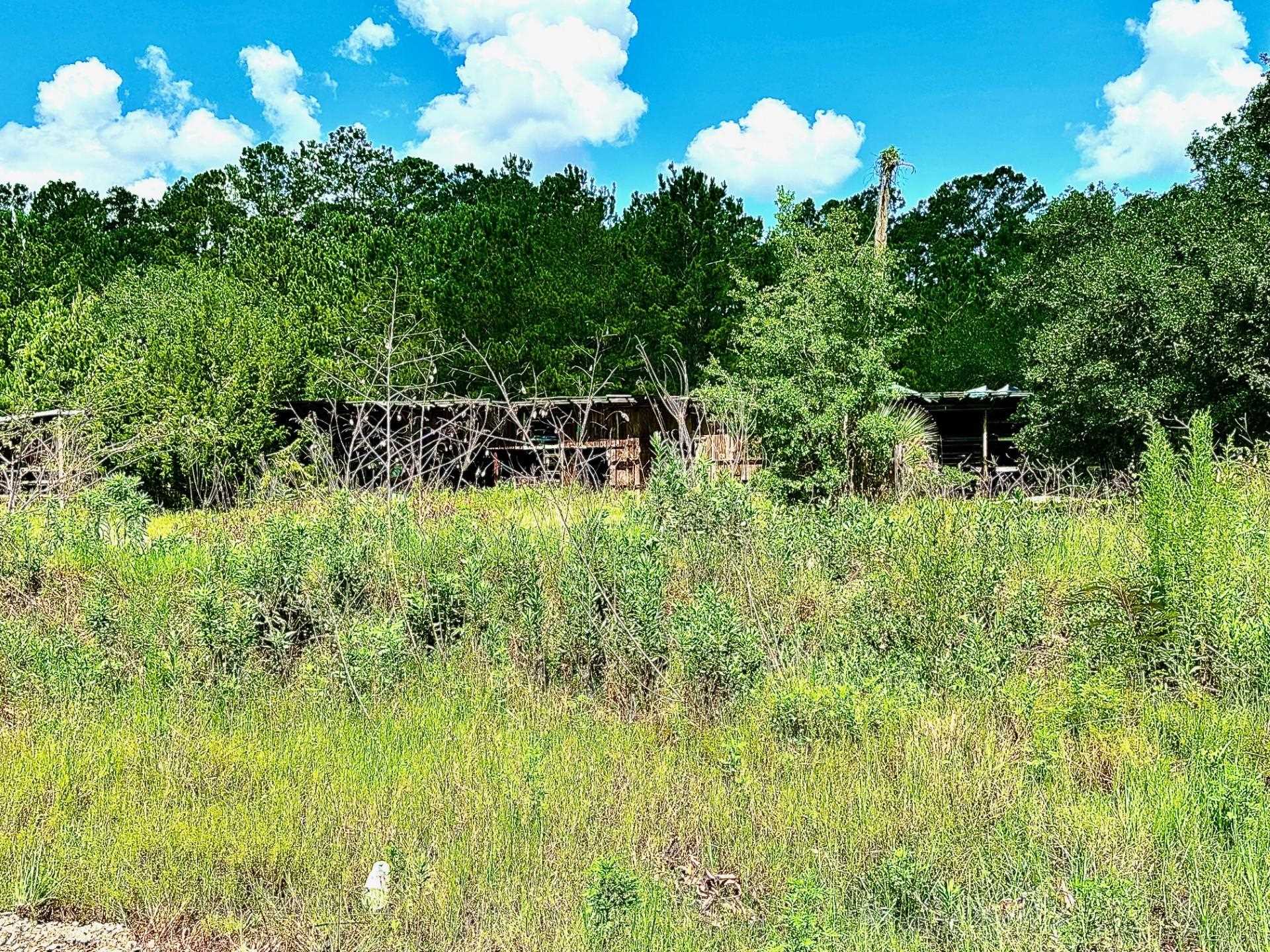 2820 Coastal Highway, Crawfordville, Texas image 9