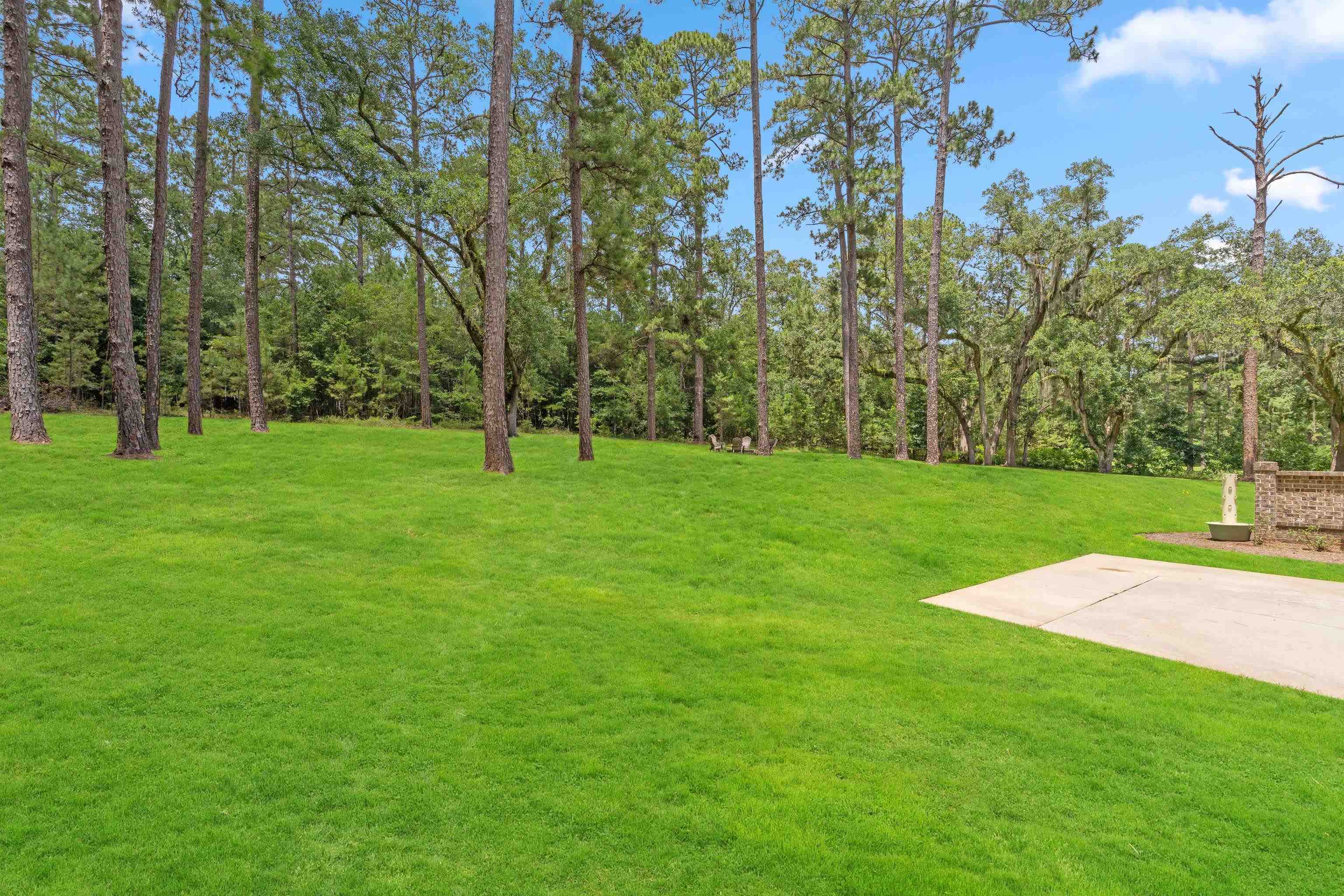 6323 Bird Dog Point, Tallahassee, Florida image 41