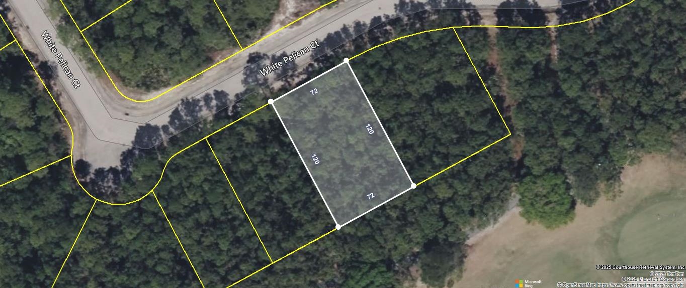 118 White Pelican Way, Carrabelle, Florida image 1
