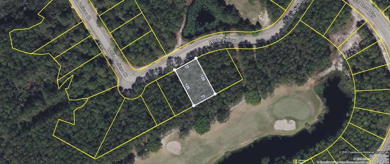 118 White Pelican Way, Carrabelle, Florida image 2