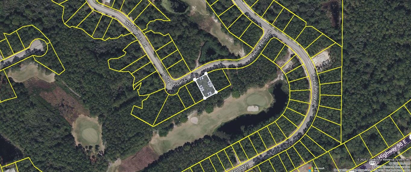 118 White Pelican Way, Carrabelle, Florida image 3