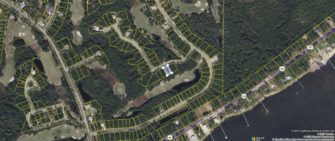 118 White Pelican Way, Carrabelle, Florida image 4