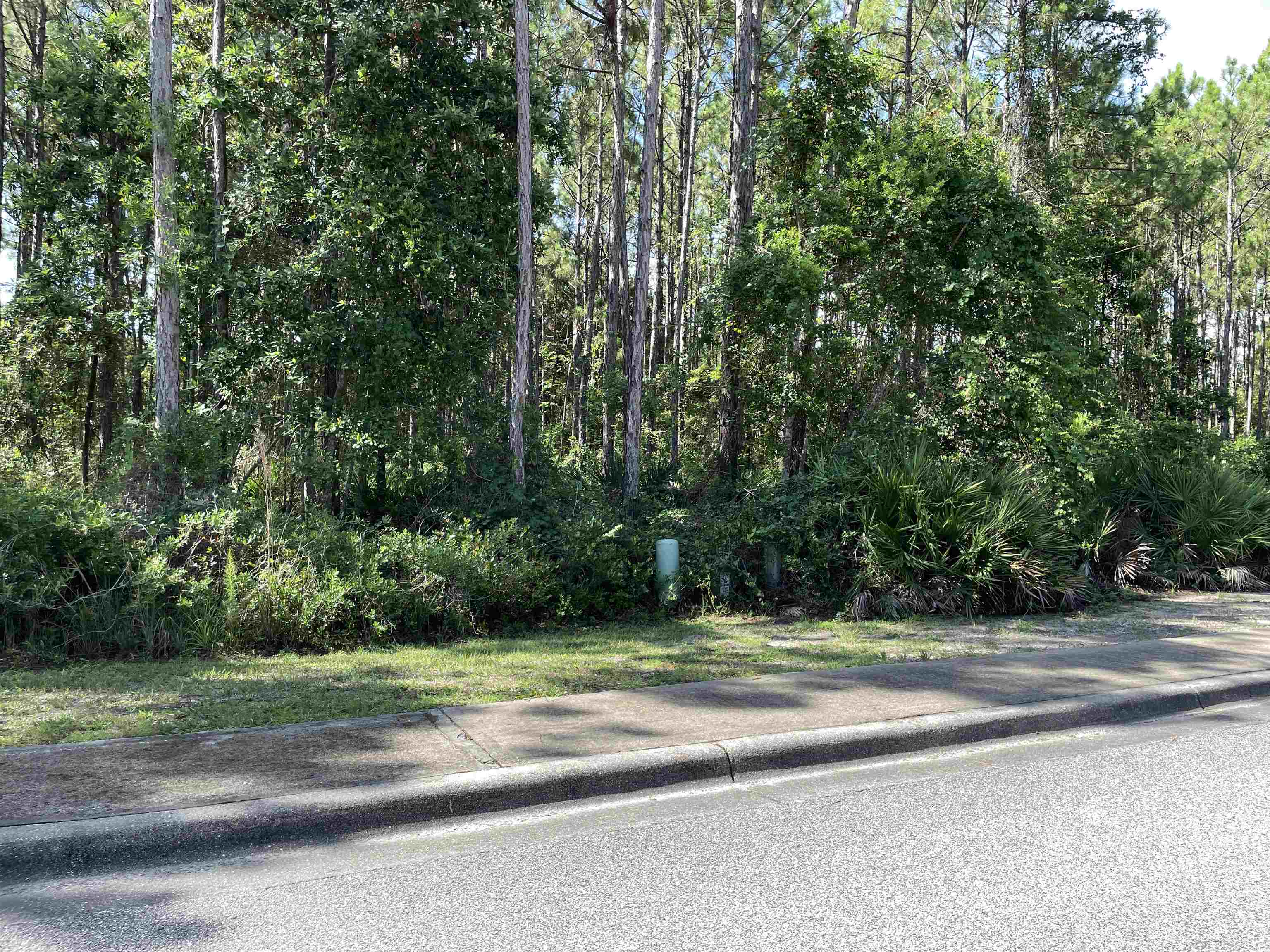 118 White Pelican Way, Carrabelle, Florida image 5