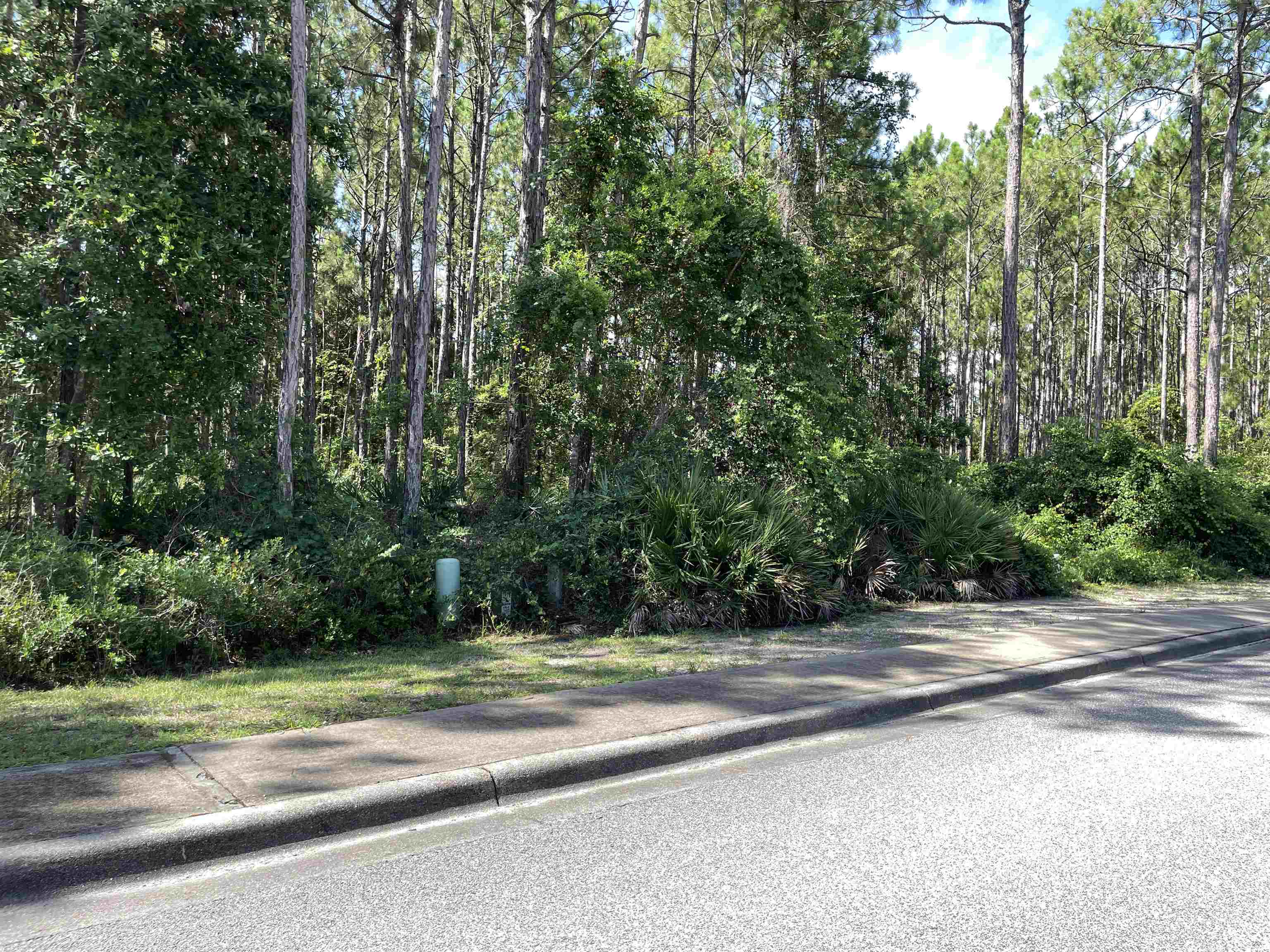 118 White Pelican Way, Carrabelle, Florida image 6